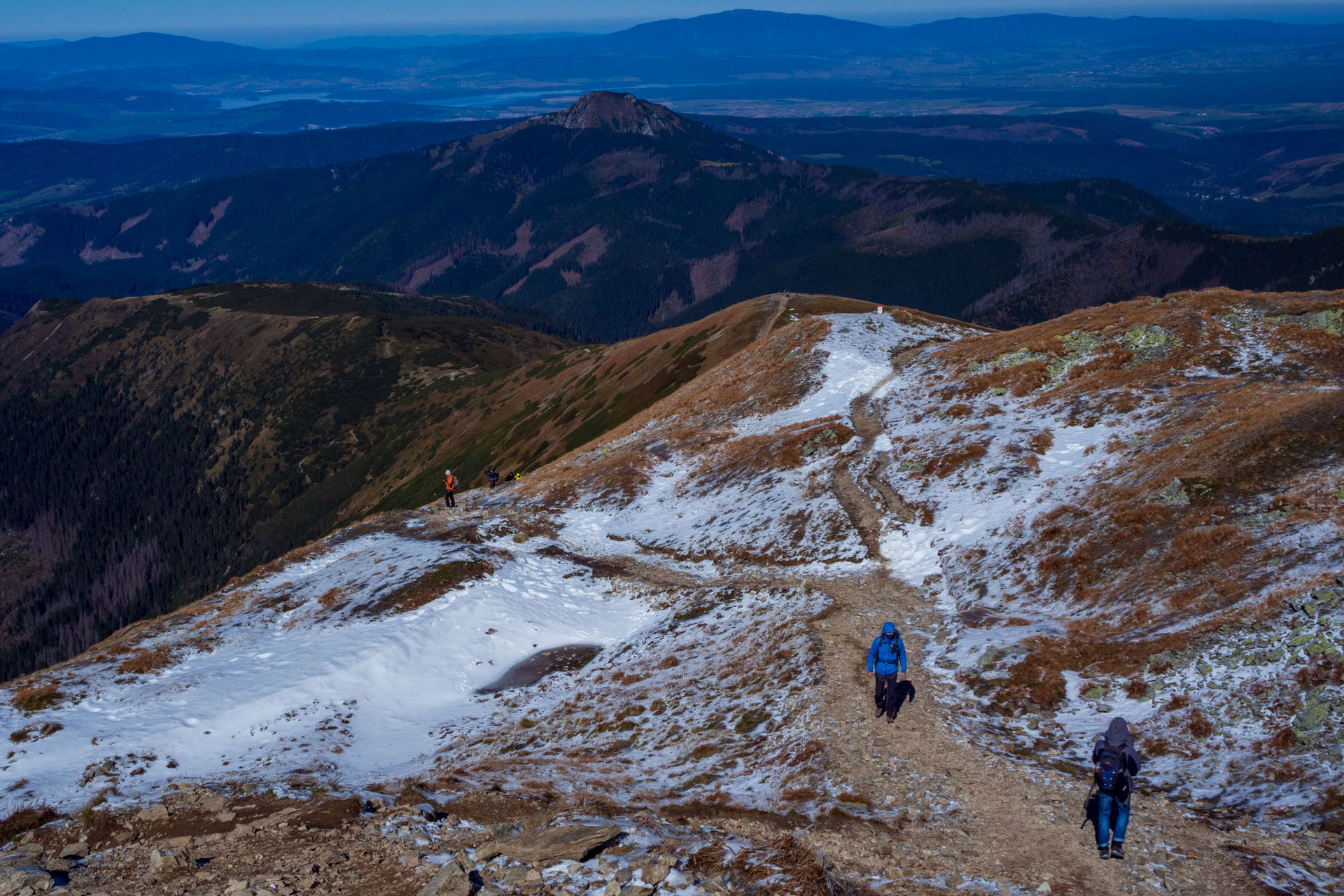 Volovec od Zverovky (Západné Tatry)