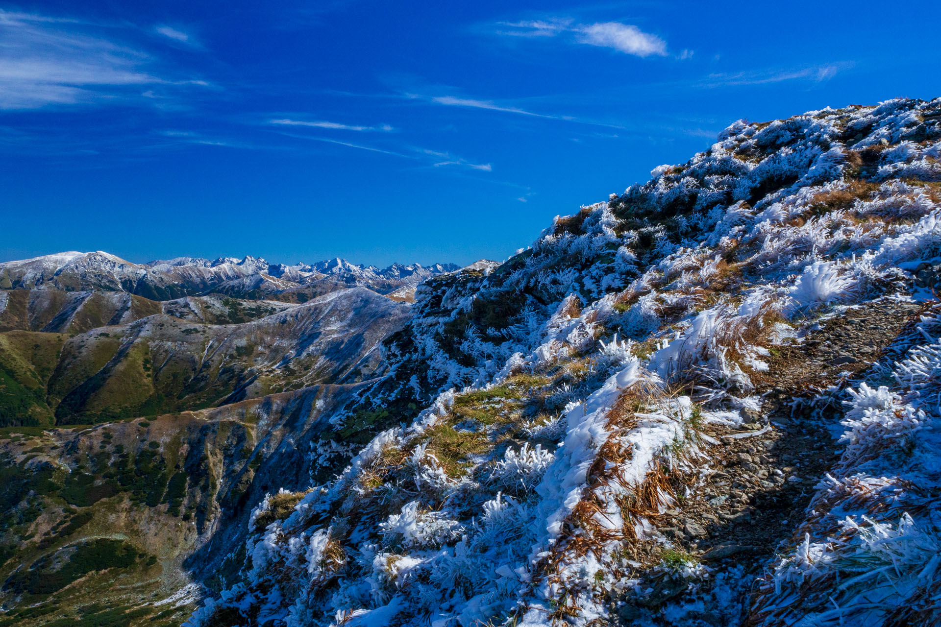 Volovec od Zverovky (Západné Tatry)