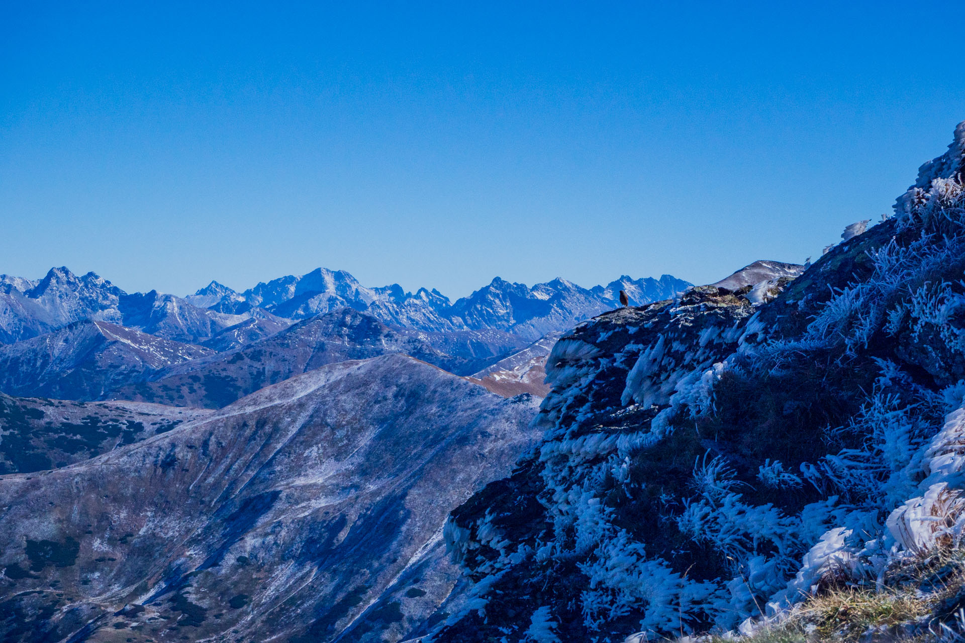 Volovec od Zverovky (Západné Tatry)