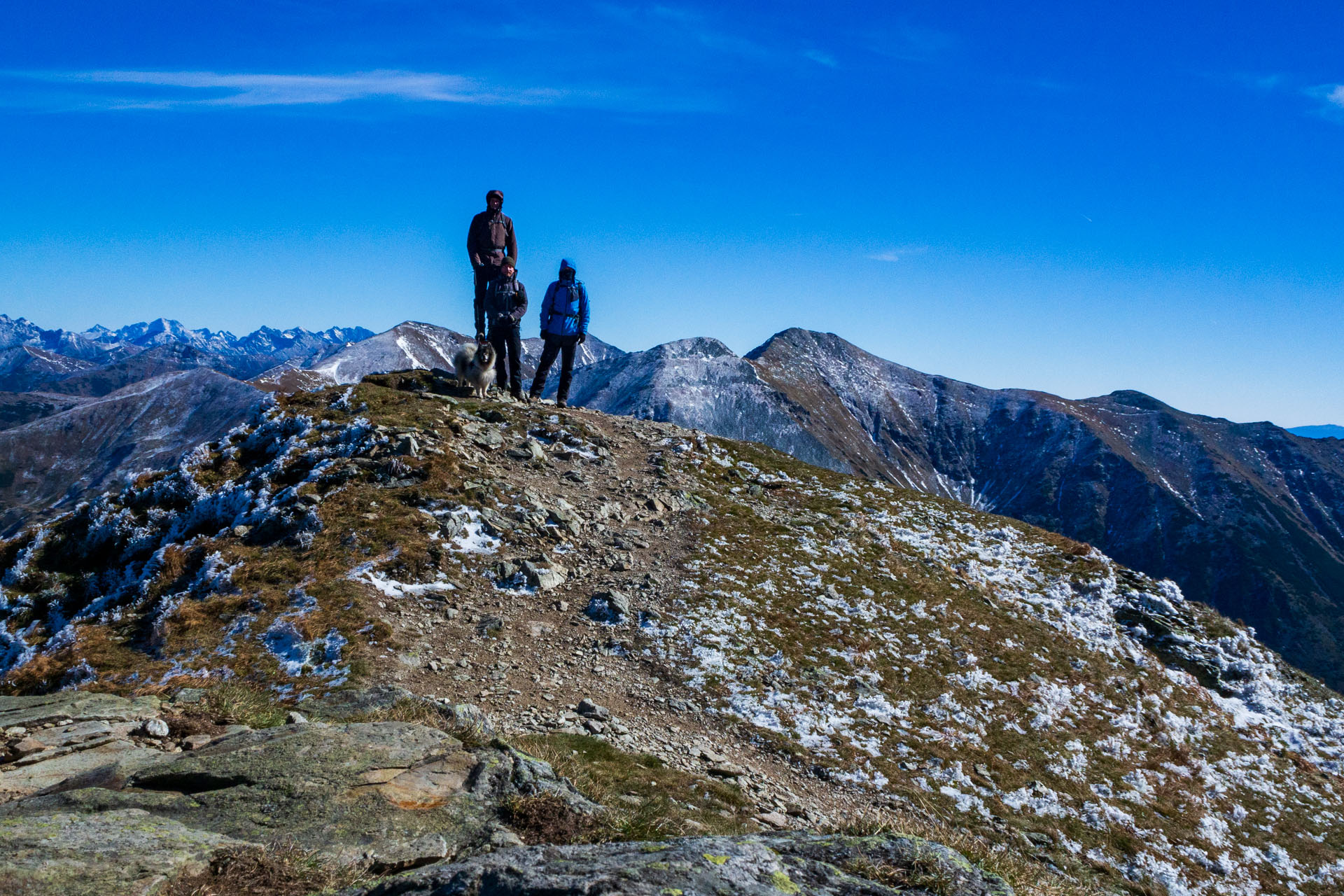 Volovec od Zverovky (Západné Tatry)