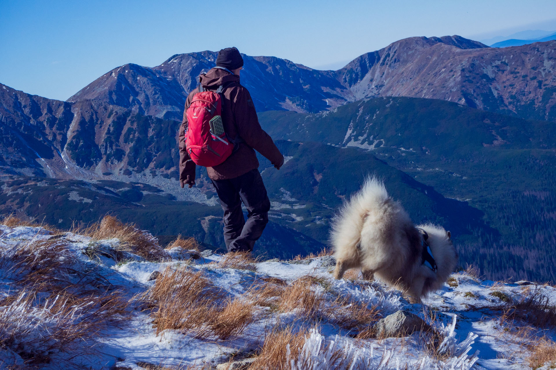 Volovec od Zverovky (Západné Tatry)