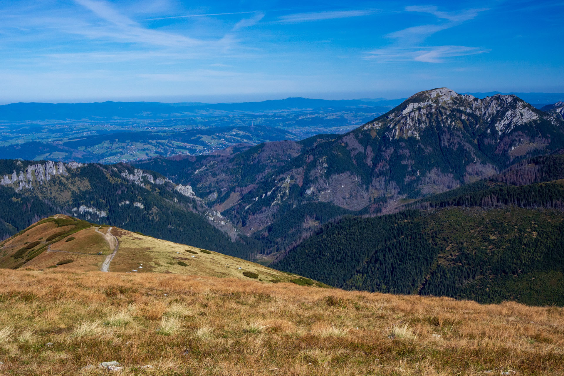 Volovec od Zverovky (Západné Tatry)