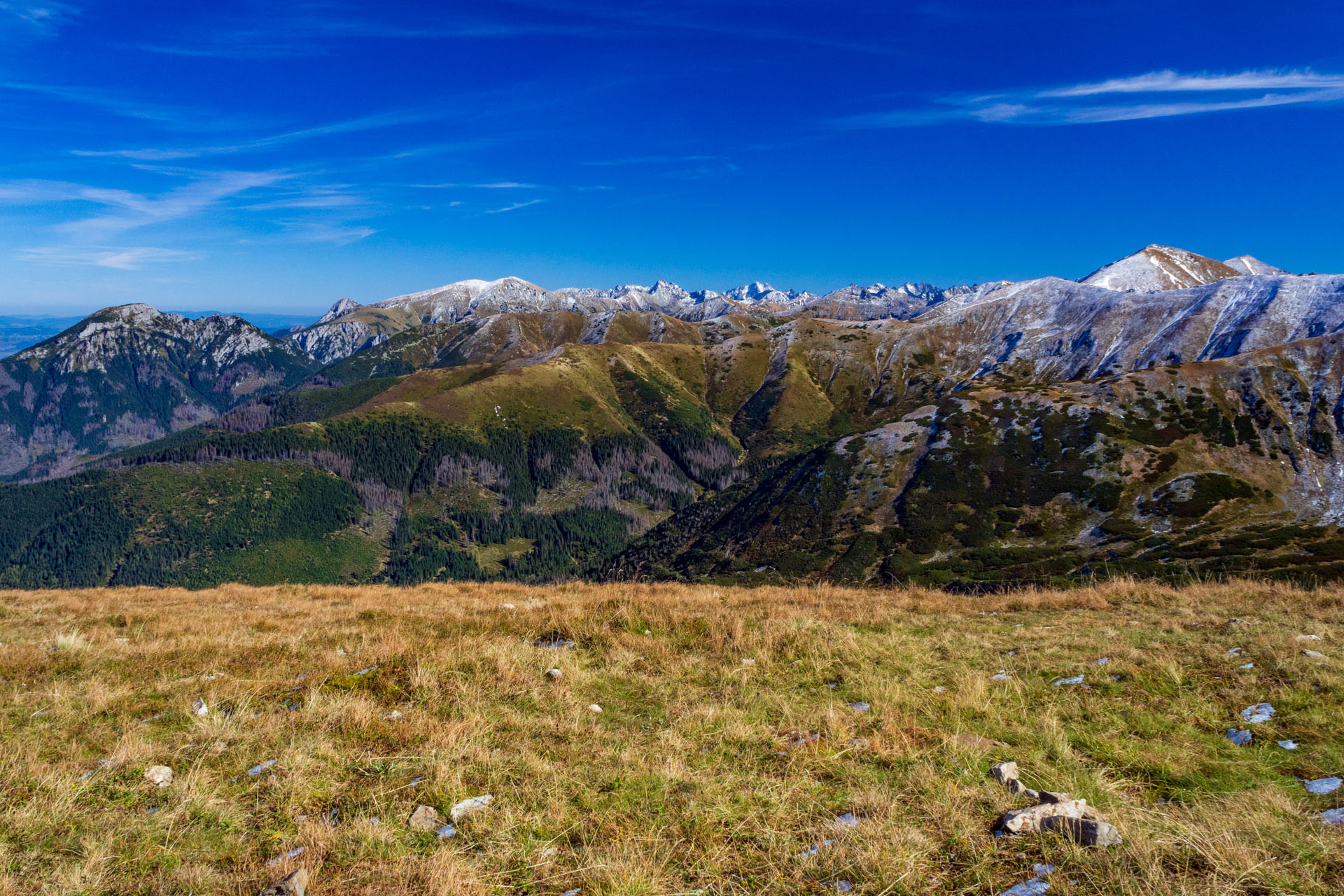 Volovec od Zverovky (Západné Tatry)