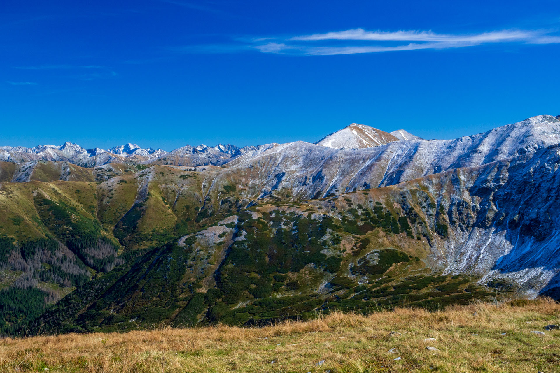 Volovec od Zverovky (Západné Tatry)