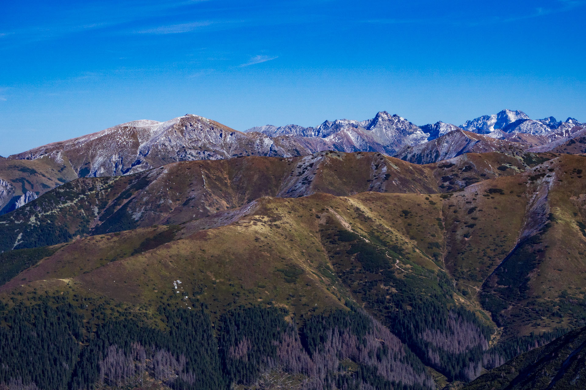 Volovec od Zverovky (Západné Tatry)