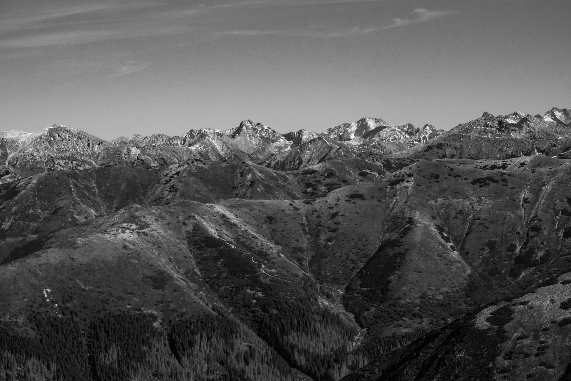 Volovec od Zverovky (Západné Tatry)