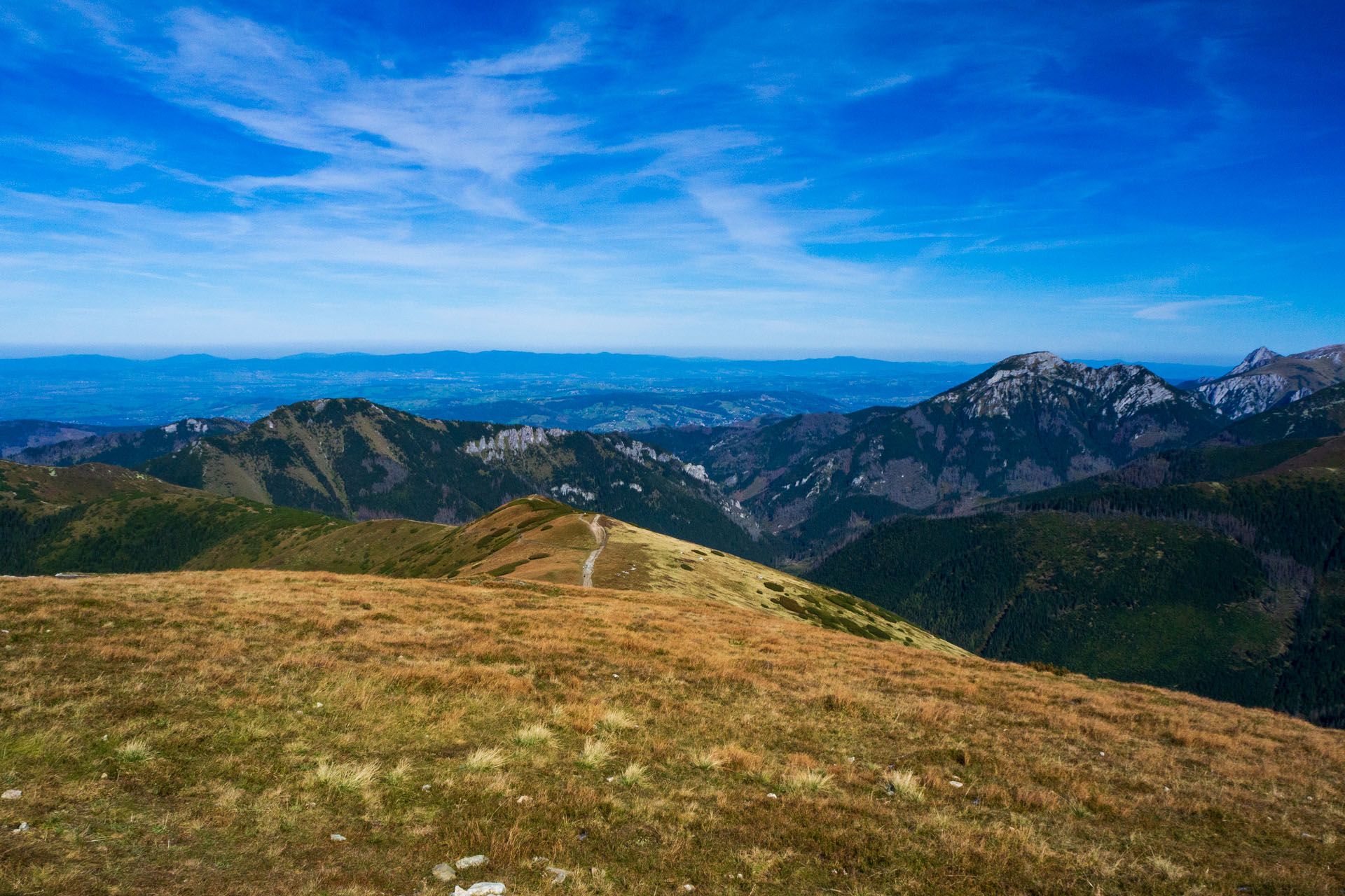 Volovec od Zverovky (Západné Tatry)