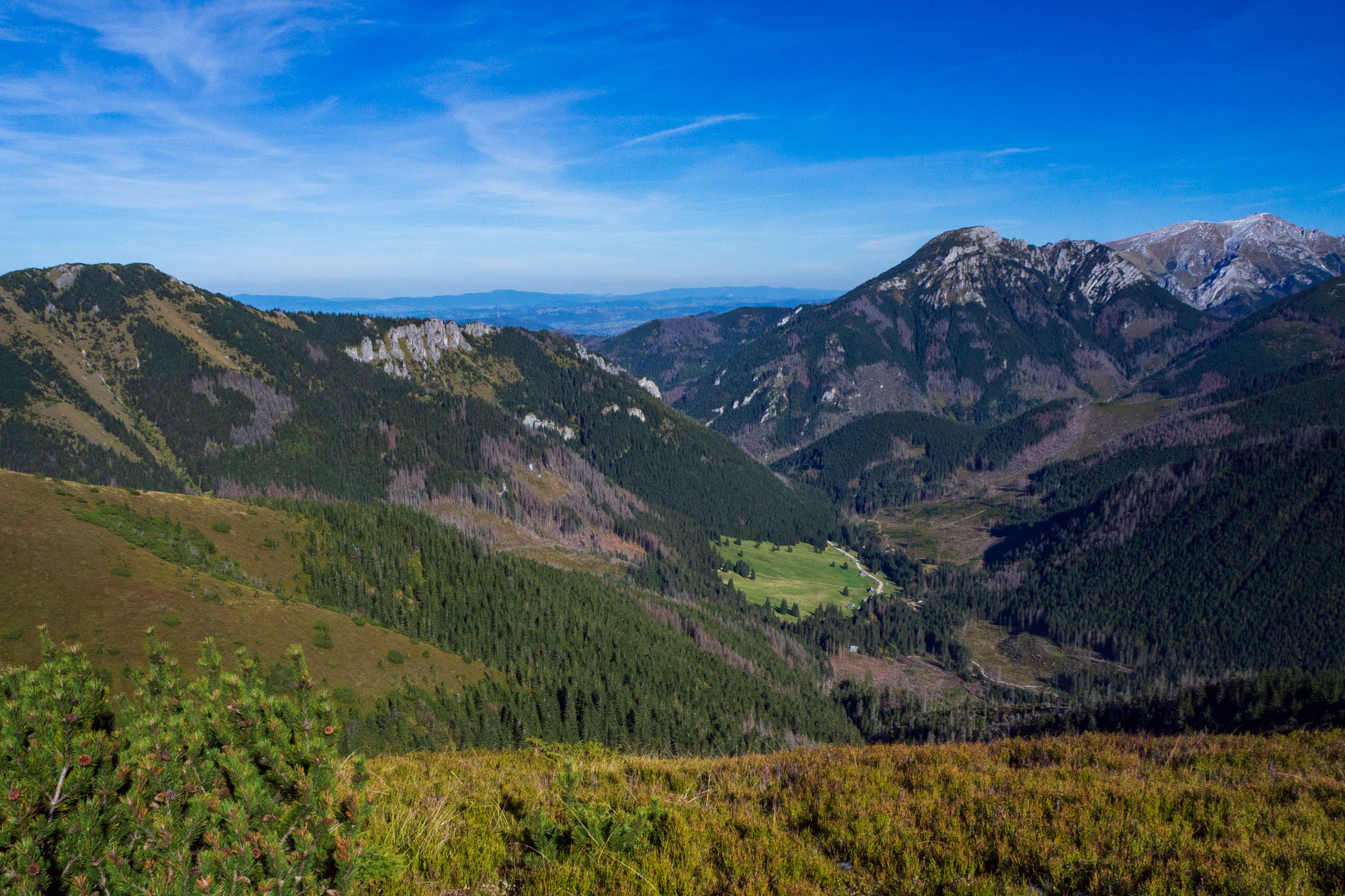 Volovec od Zverovky (Západné Tatry)