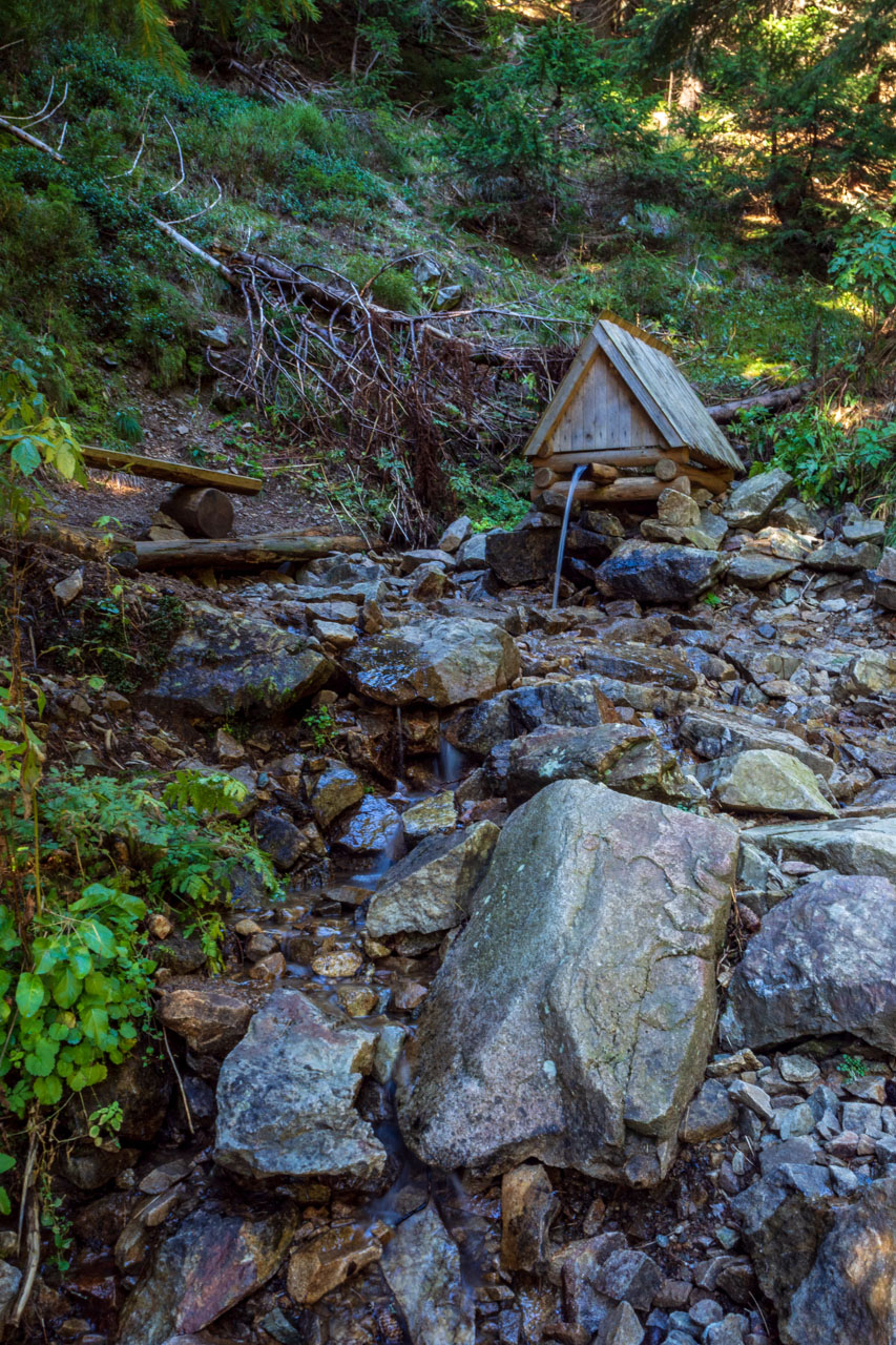 Volovec od Zverovky (Západné Tatry)