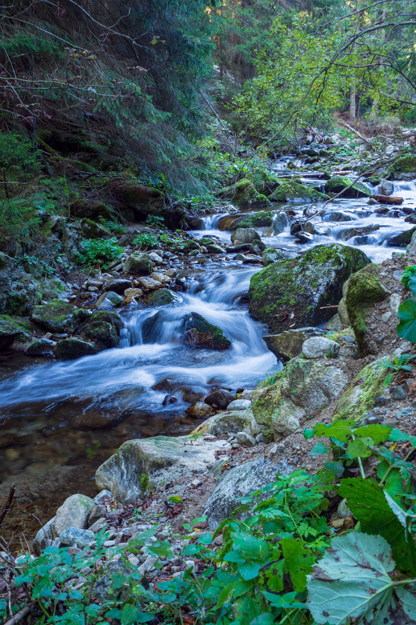 Volovec od Zverovky (Západné Tatry)