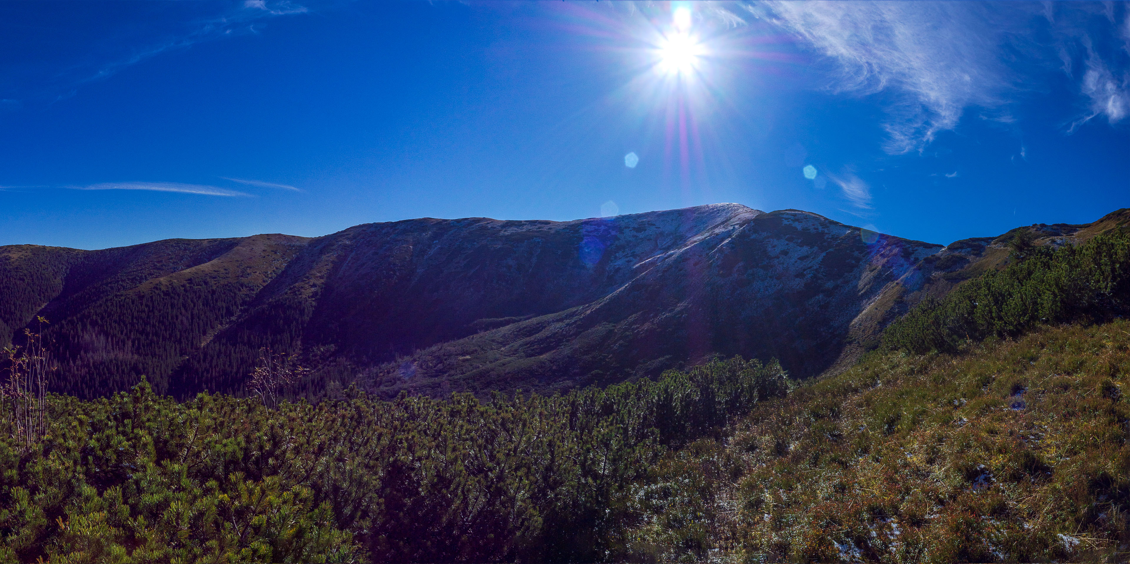 Volovec od Zverovky (Západné Tatry)