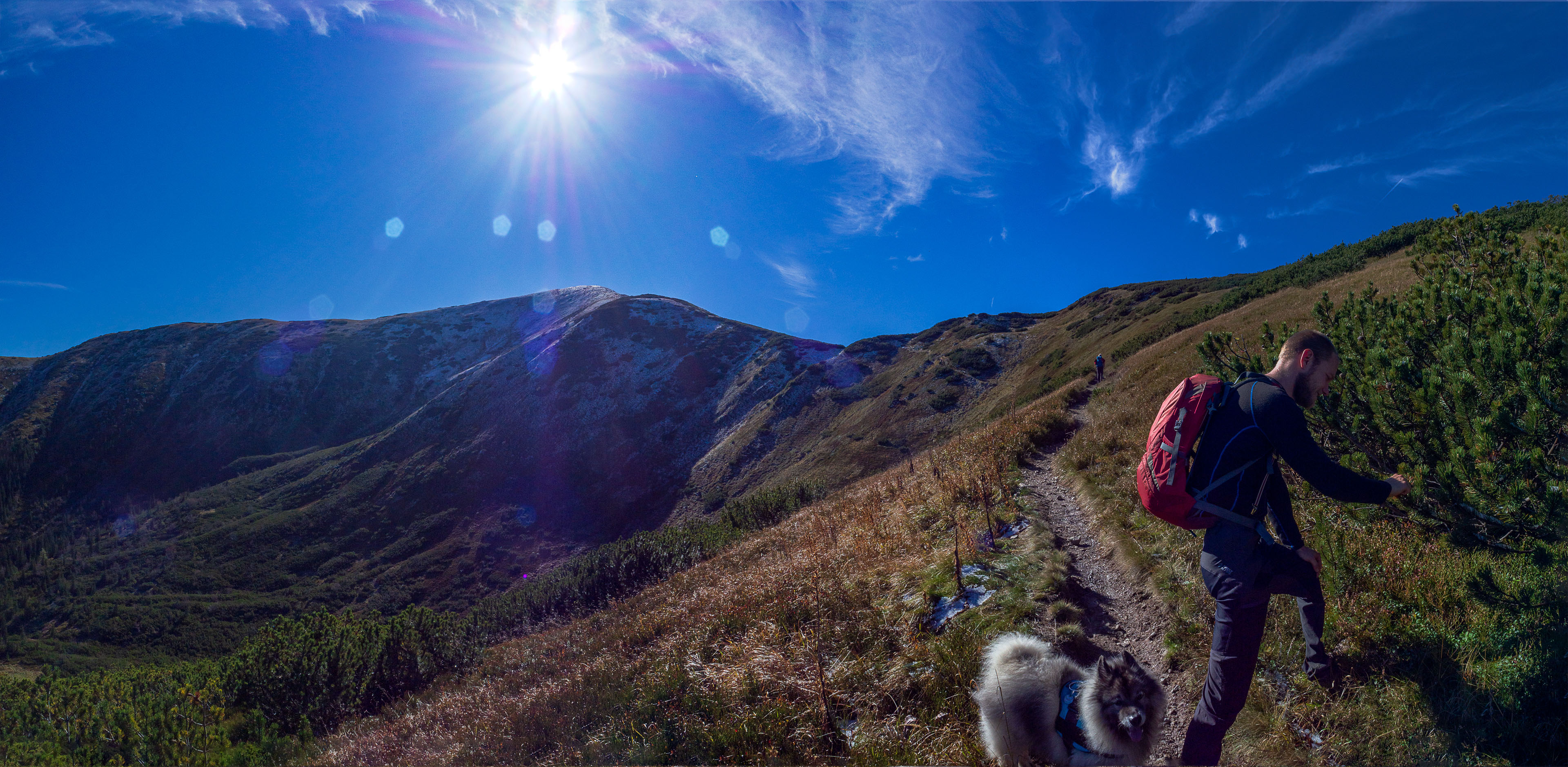 Volovec od Zverovky (Západné Tatry)