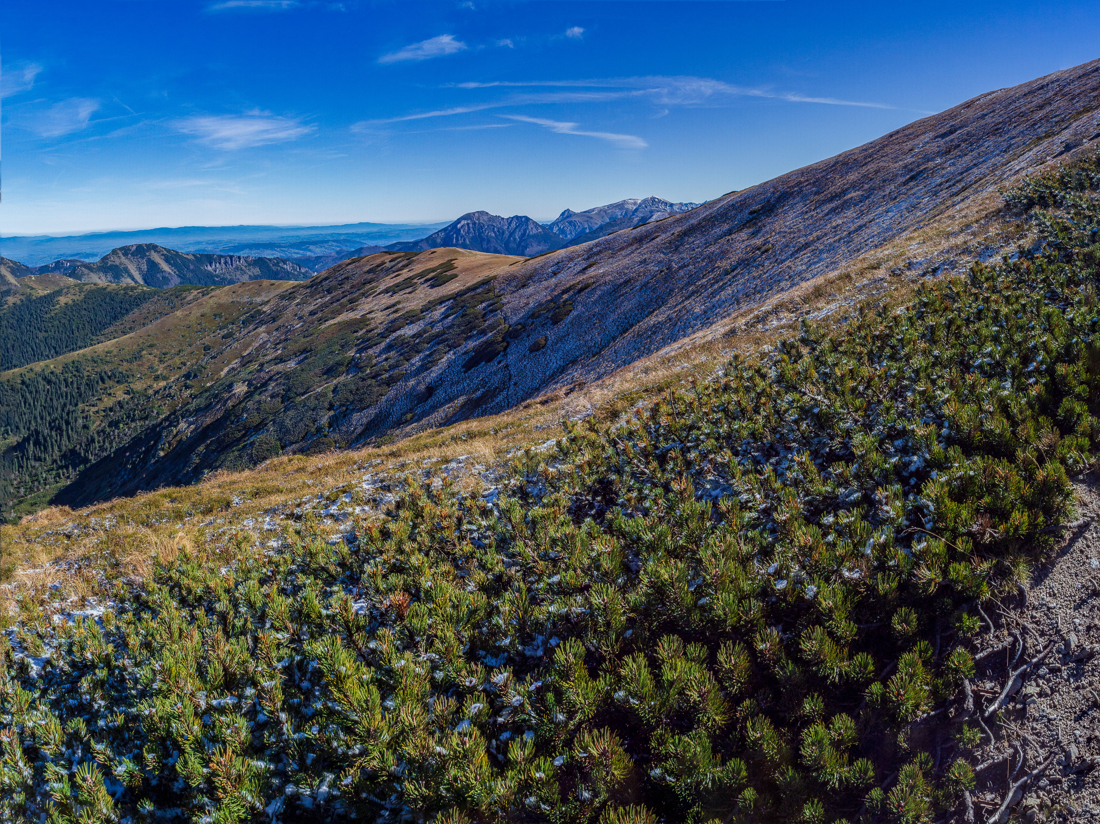 Volovec od Zverovky (Západné Tatry)