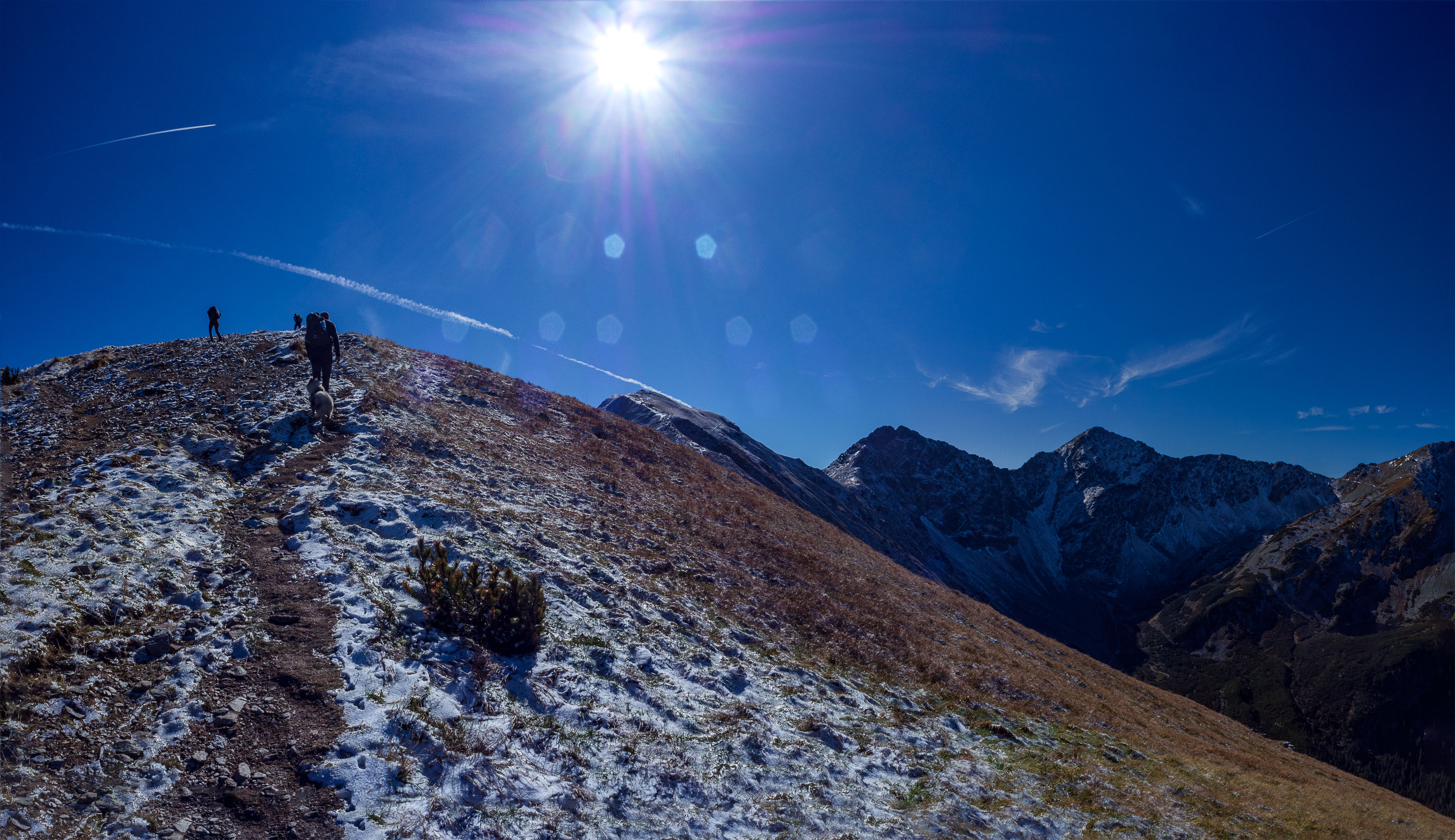 Volovec od Zverovky (Západné Tatry)