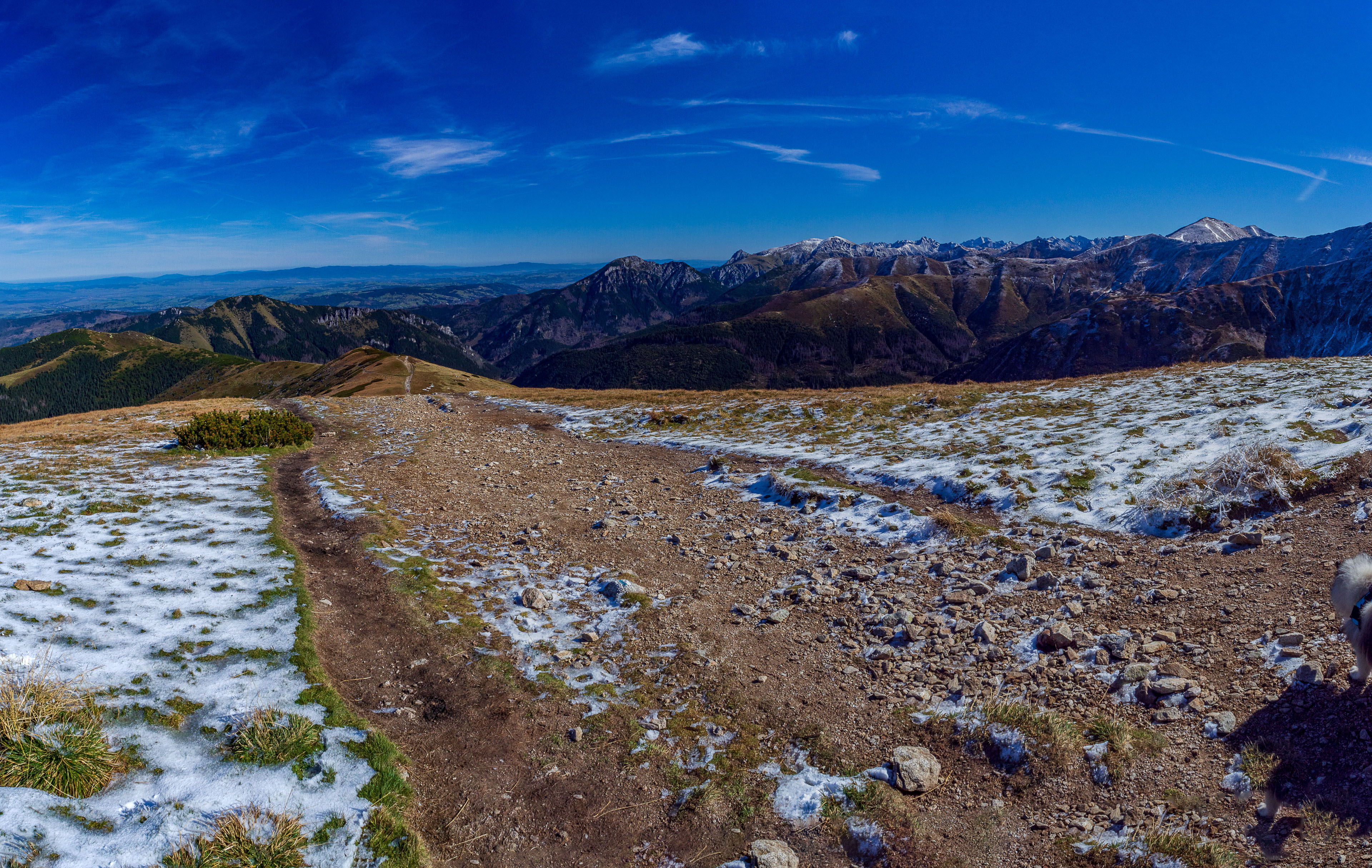 Volovec od Zverovky (Západné Tatry)