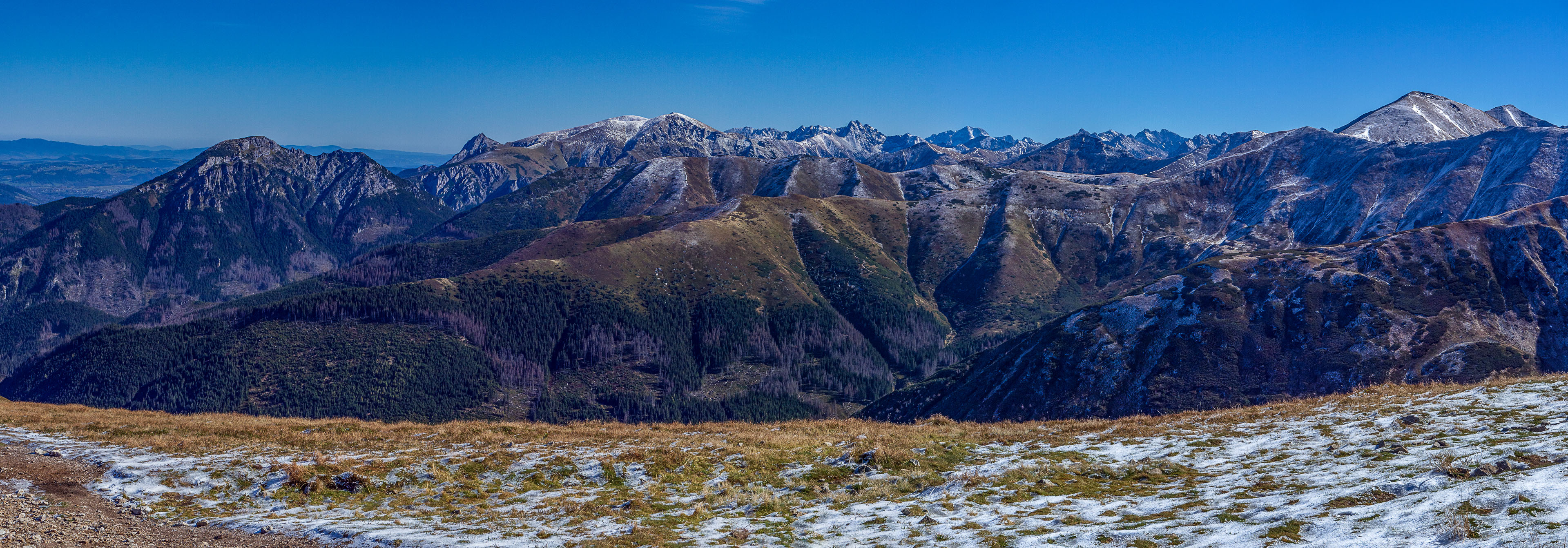 Volovec od Zverovky (Západné Tatry)