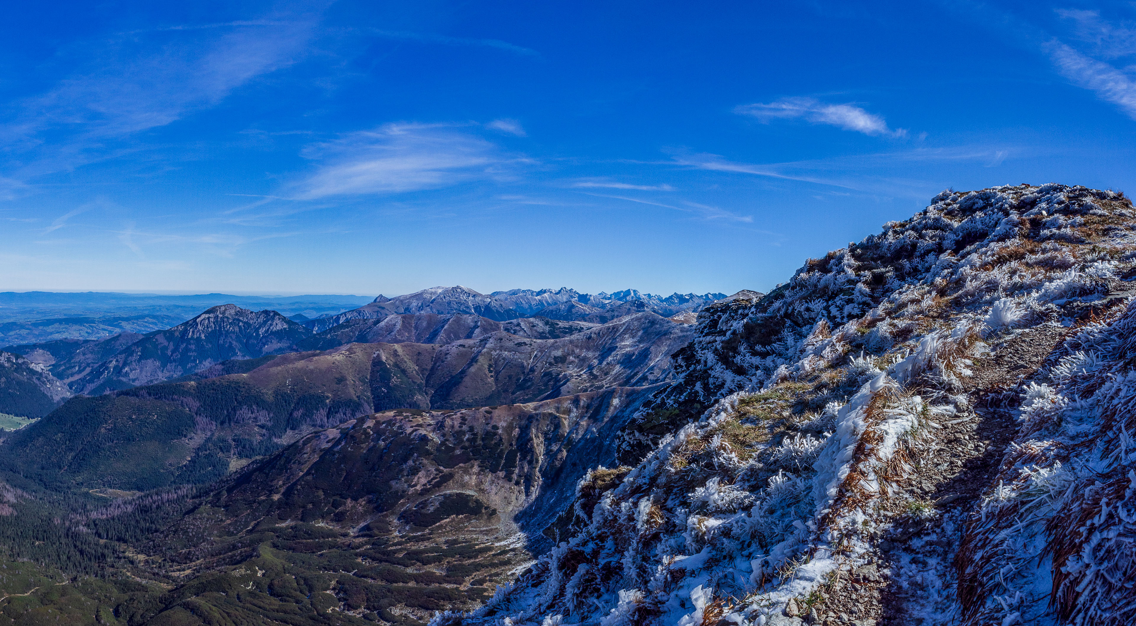 Volovec od Zverovky (Západné Tatry)