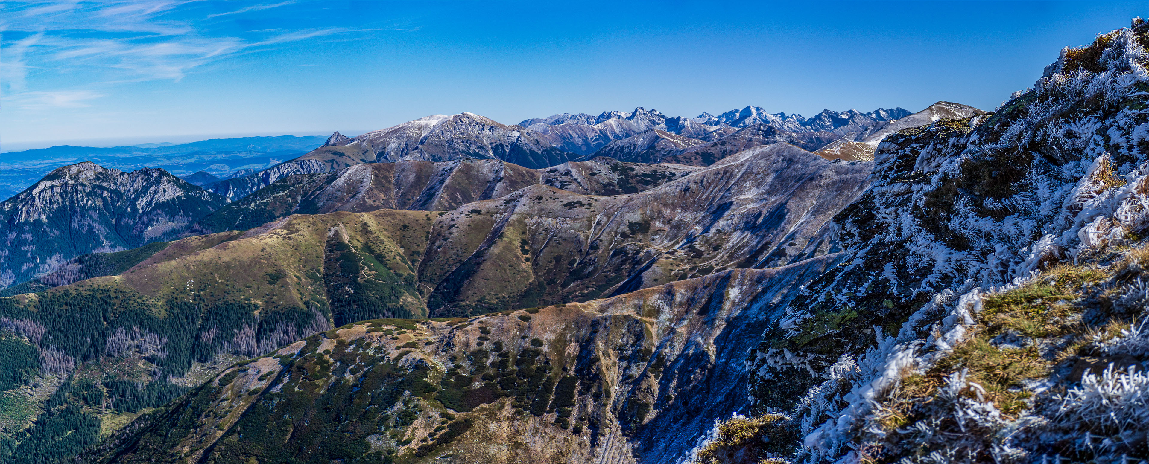 Volovec od Zverovky (Západné Tatry)