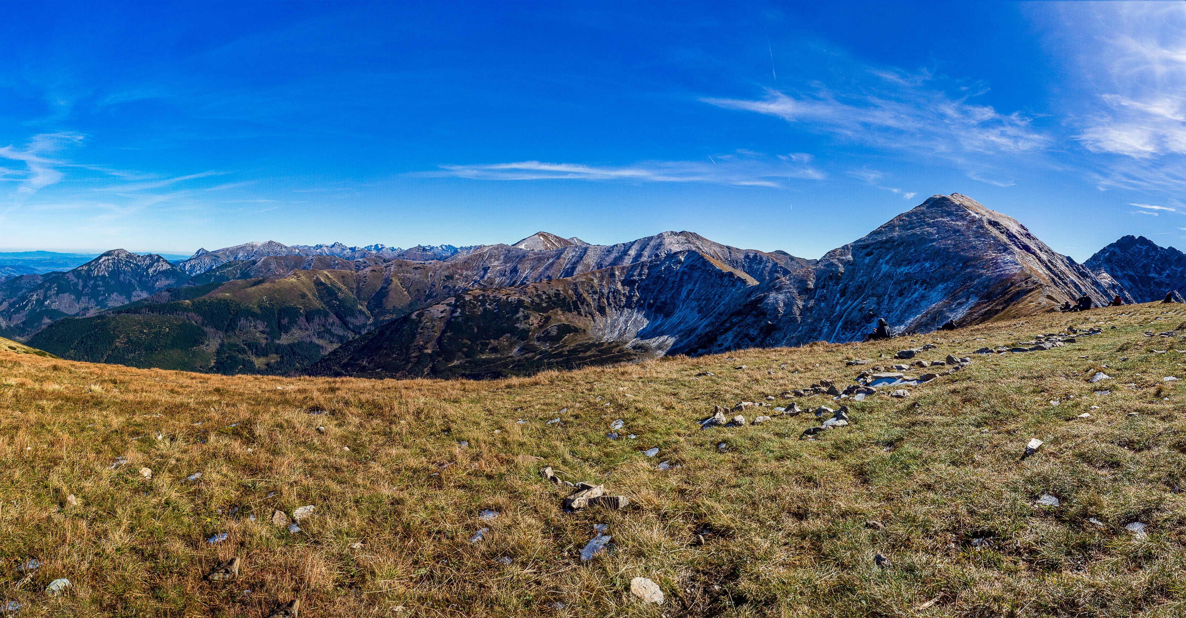 Volovec od Zverovky (Západné Tatry)