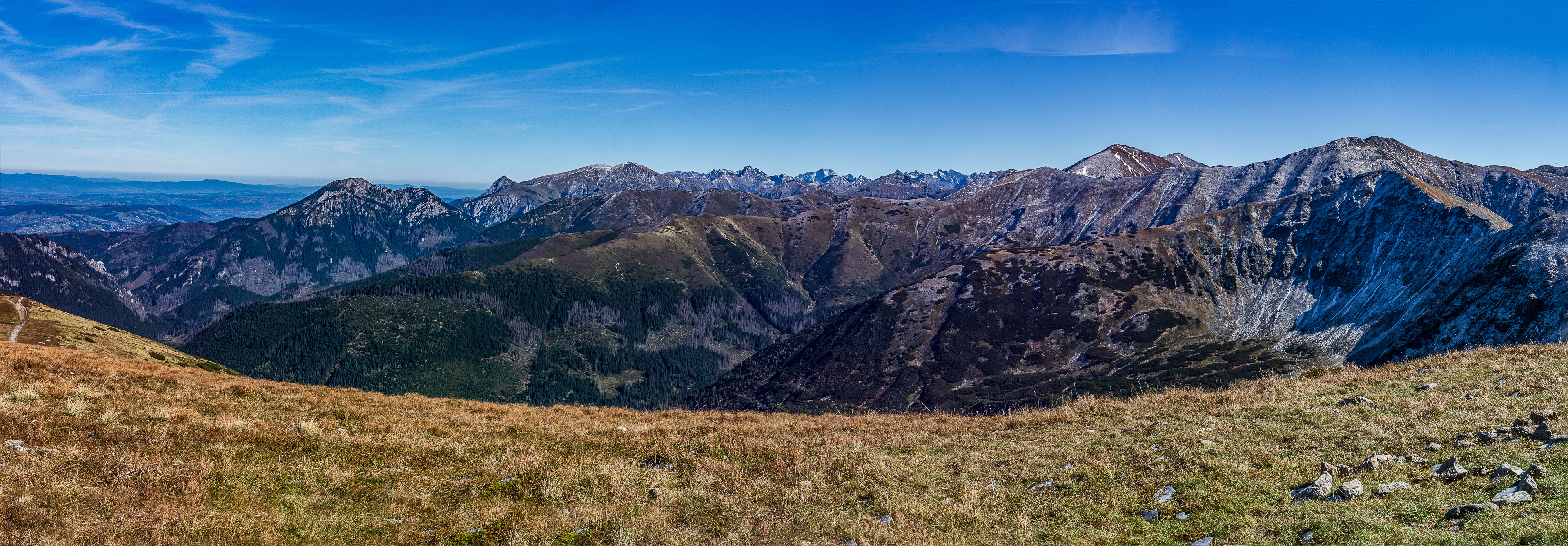 Volovec od Zverovky (Západné Tatry)