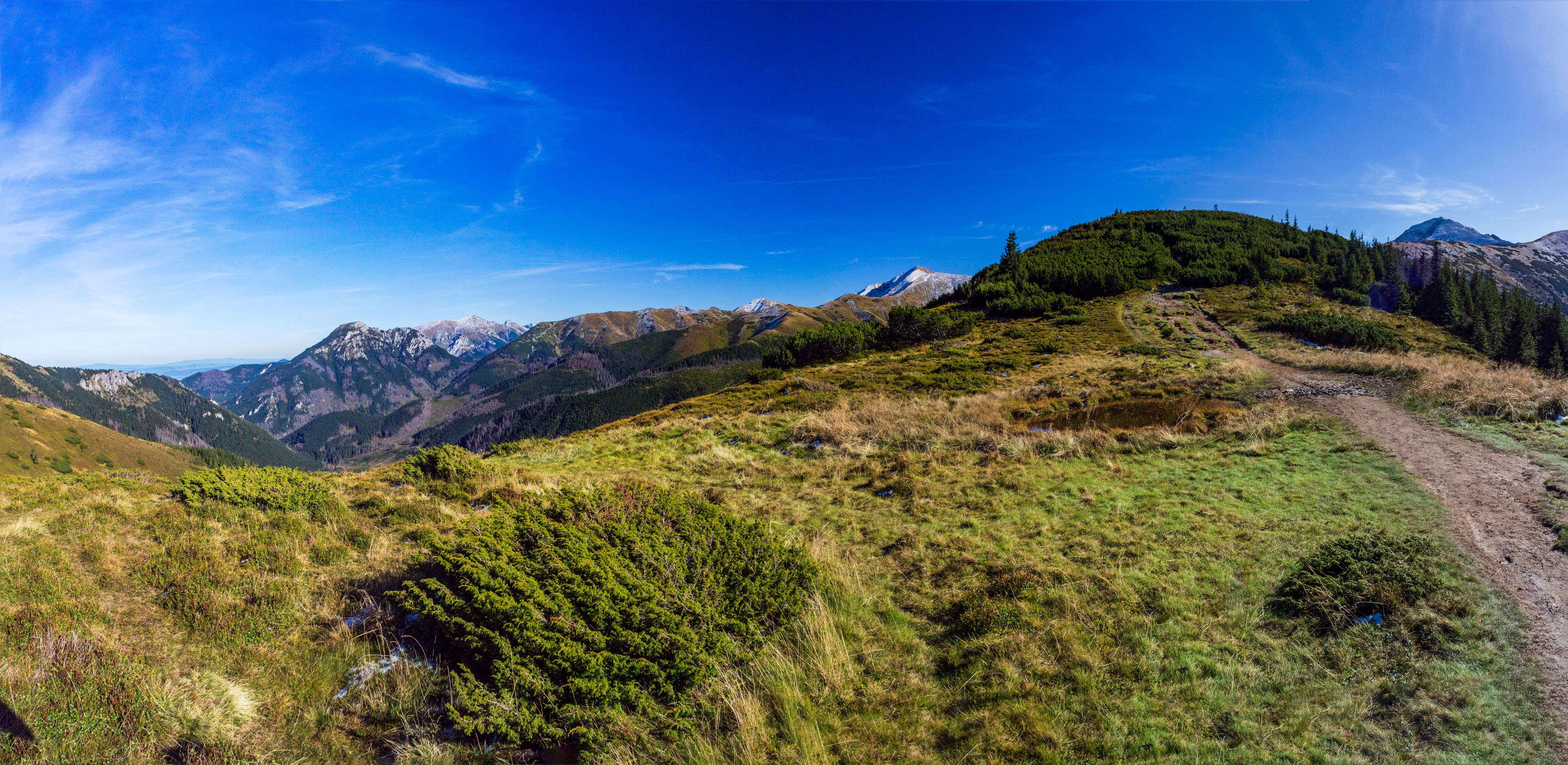 Volovec od Zverovky (Západné Tatry)