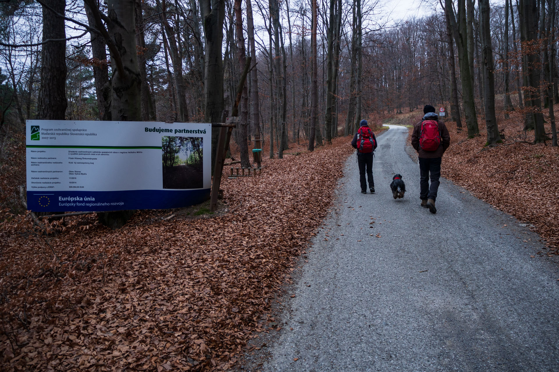 Vyhliadka pod Bradlom a Dobrák (Slanské vrchy)