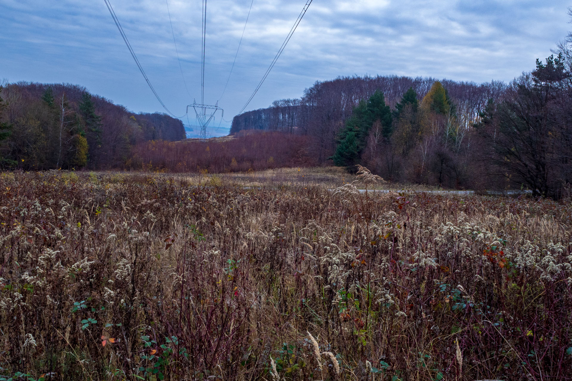 Vyhliadka pod Bradlom a Dobrák (Slanské vrchy)