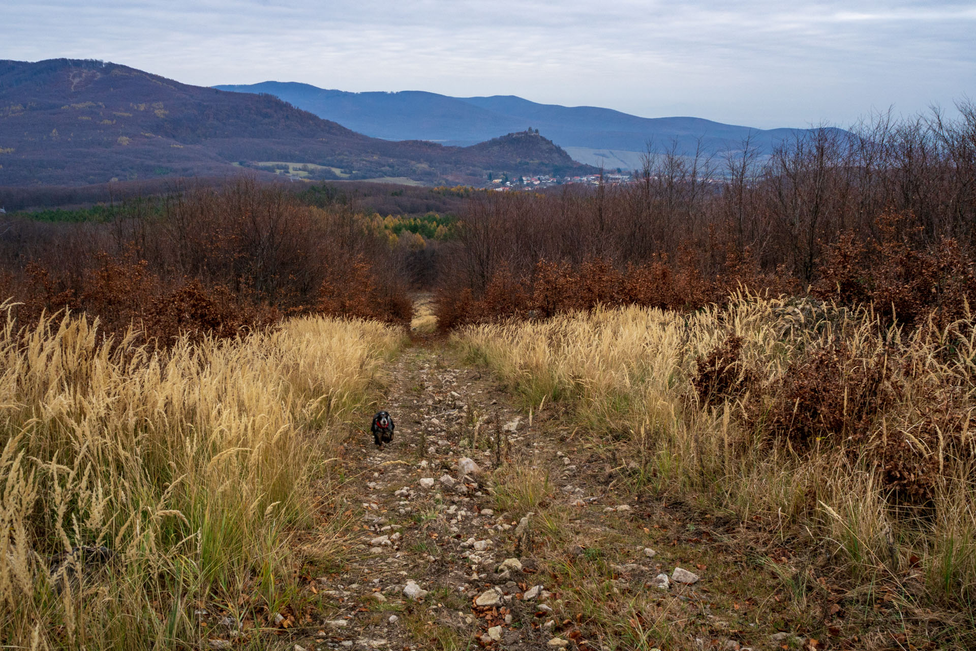 Vyhliadka pod Bradlom a Dobrák (Slanské vrchy)