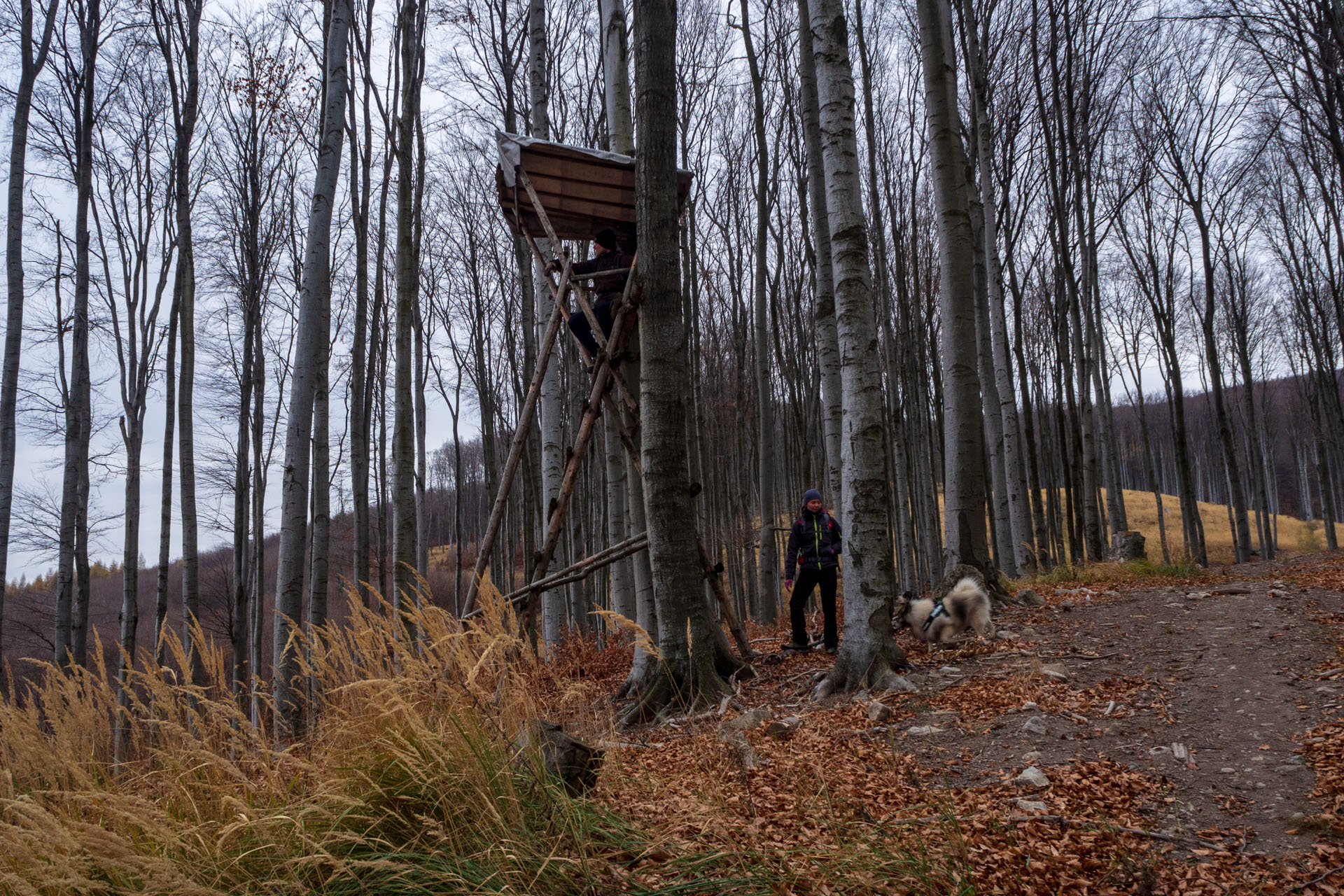 Vyhliadka pod Bradlom a Dobrák (Slanské vrchy)