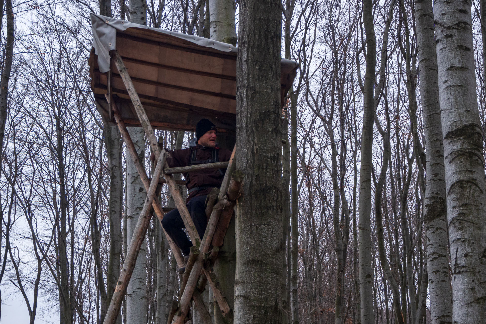 Vyhliadka pod Bradlom a Dobrák (Slanské vrchy)