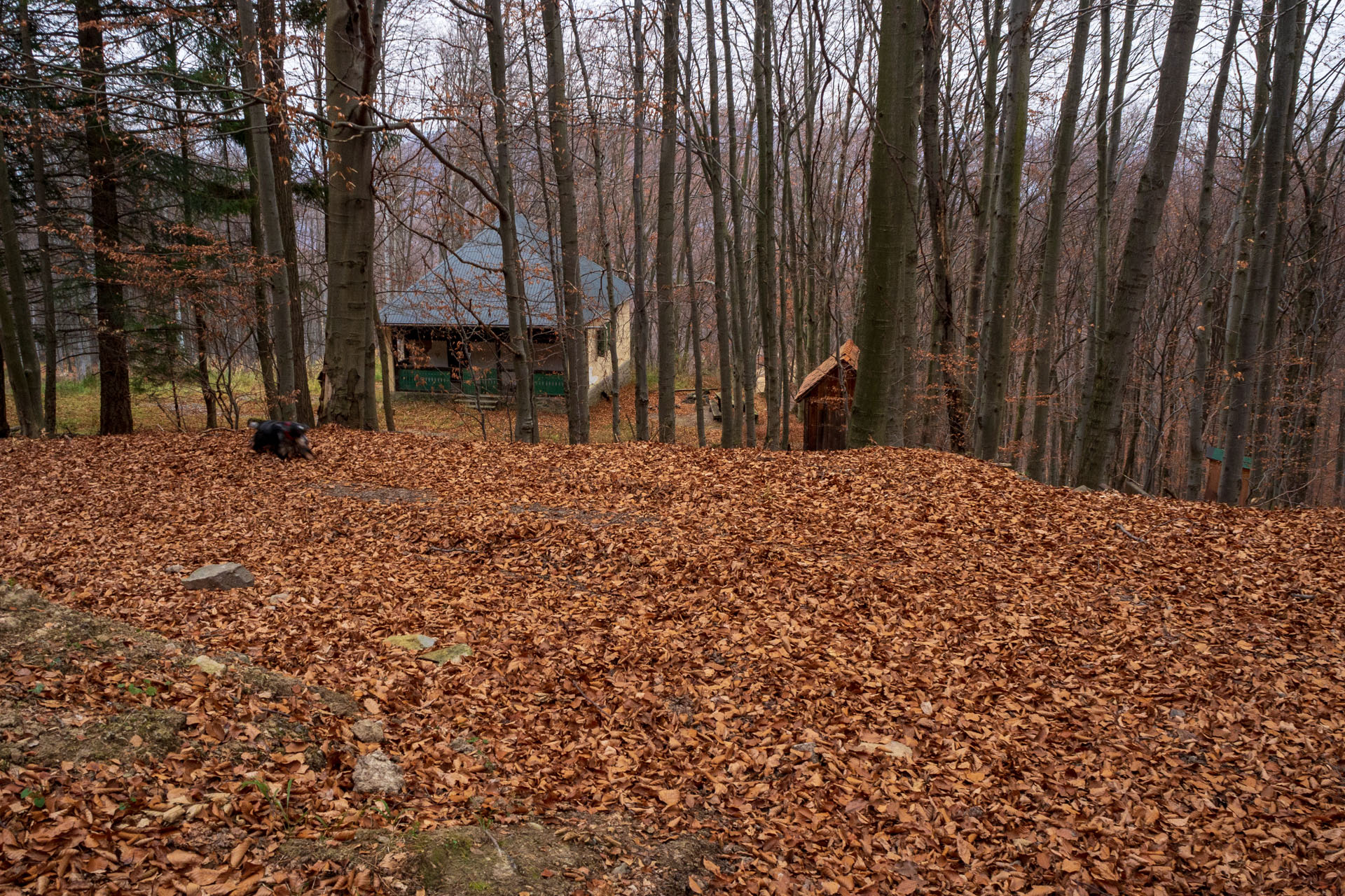 Vyhliadka pod Bradlom a Dobrák (Slanské vrchy)