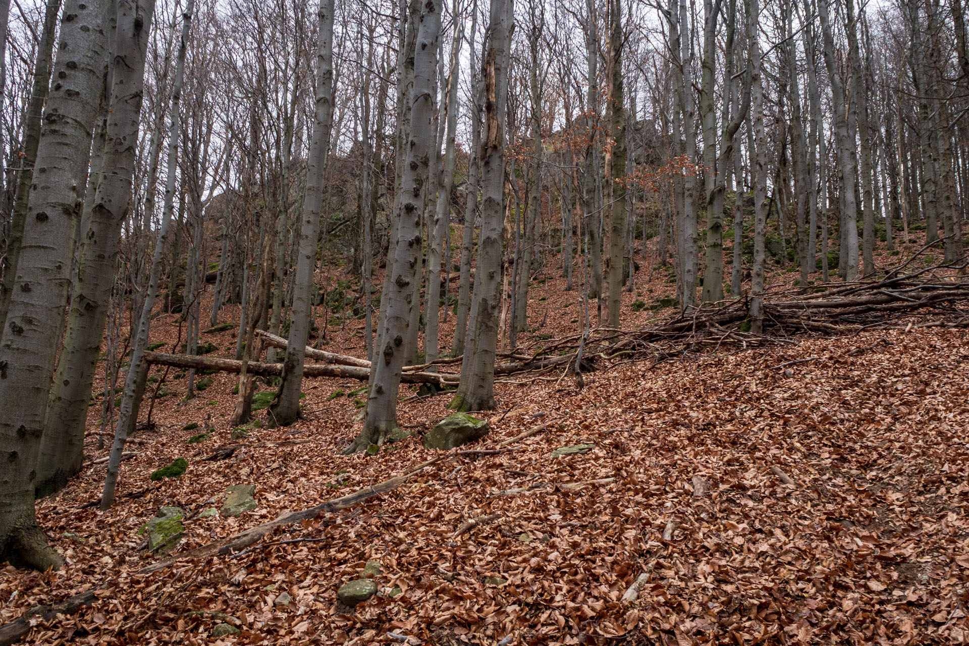 Vyhliadka pod Bradlom a Dobrák (Slanské vrchy)