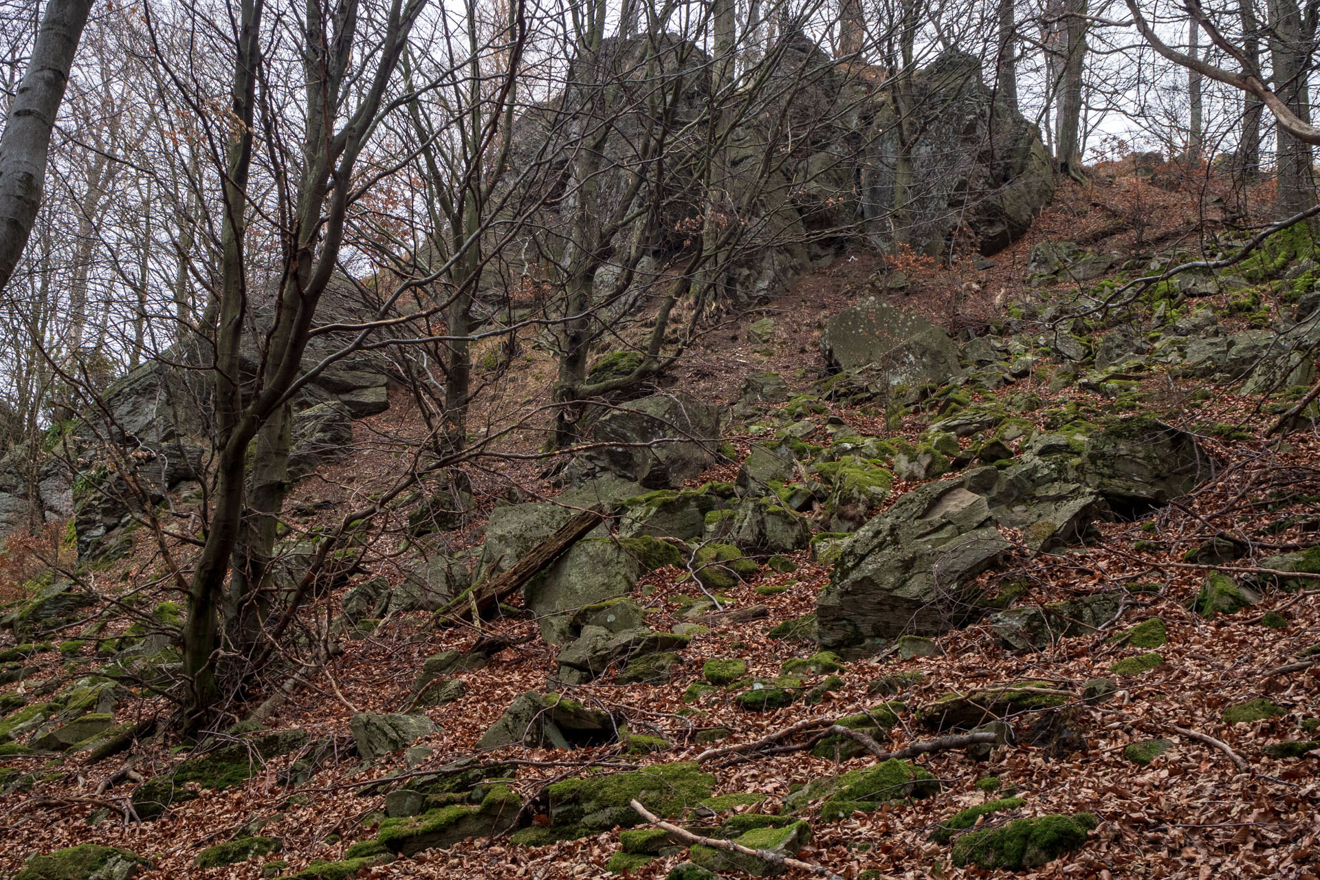 Vyhliadka pod Bradlom a Dobrák (Slanské vrchy)