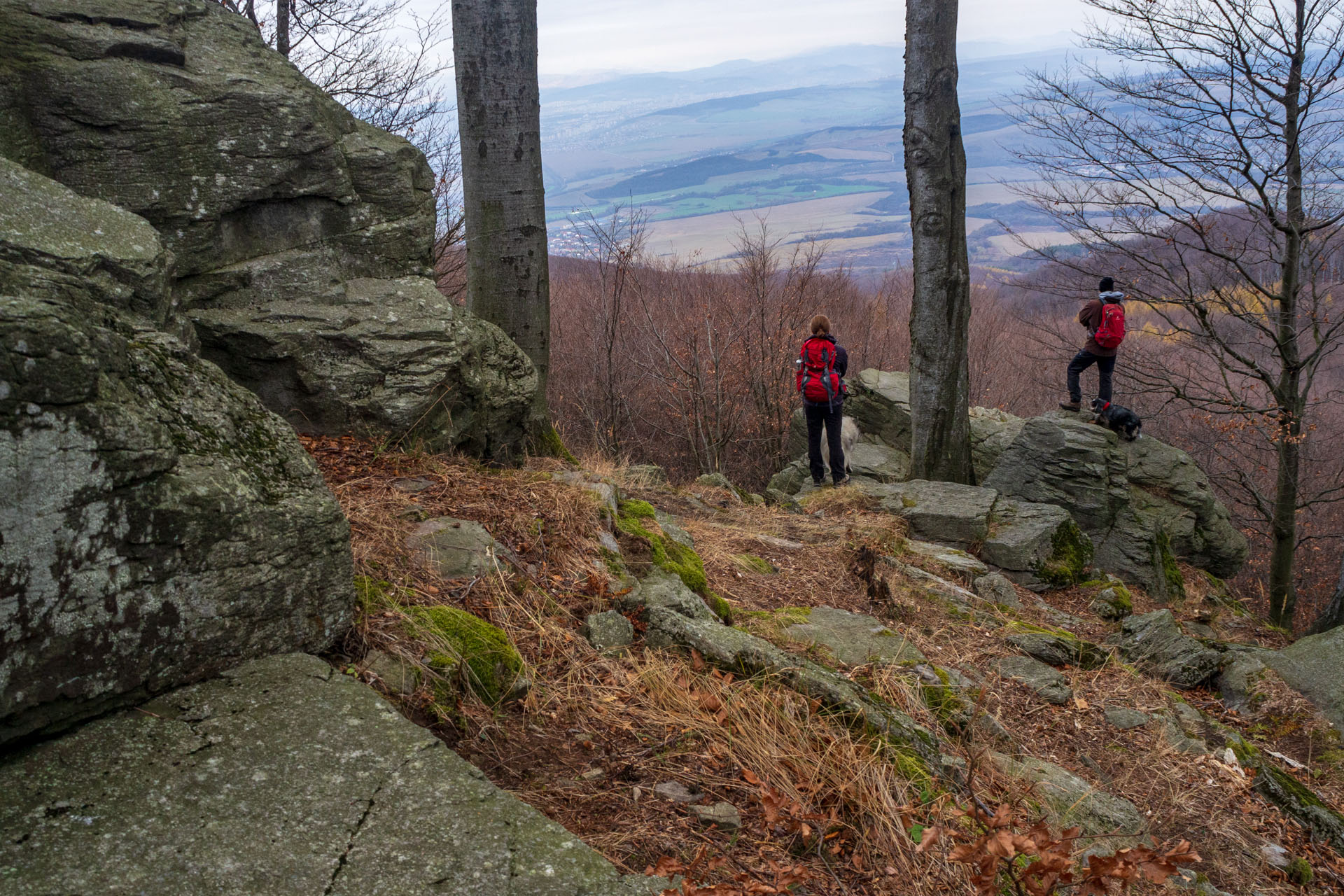 Vyhliadka pod Bradlom a Dobrák (Slanské vrchy)