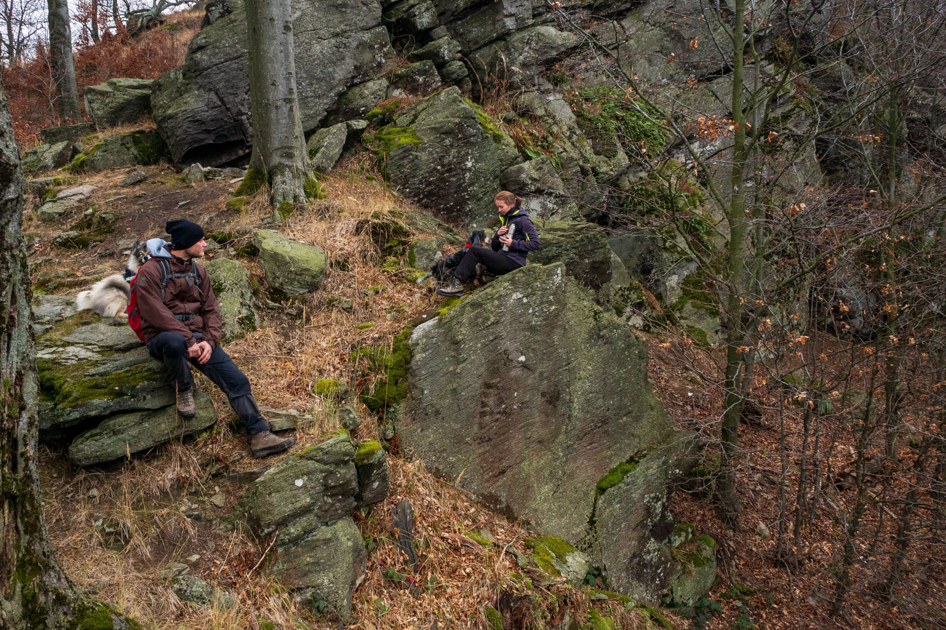 Vyhliadka pod Bradlom a Dobrák (Slanské vrchy)