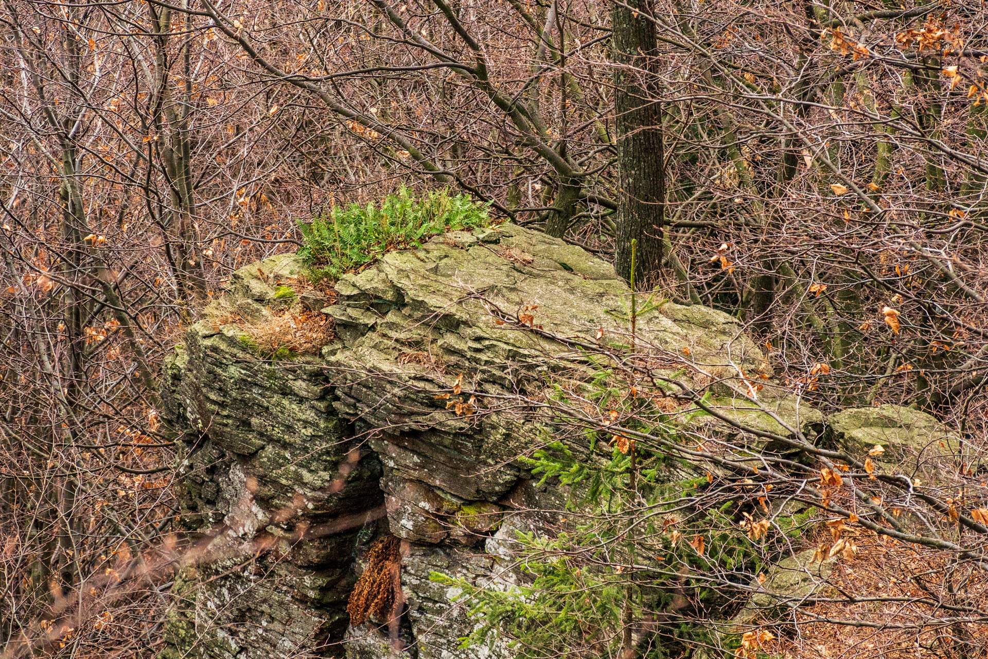 Vyhliadka pod Bradlom a Dobrák (Slanské vrchy)