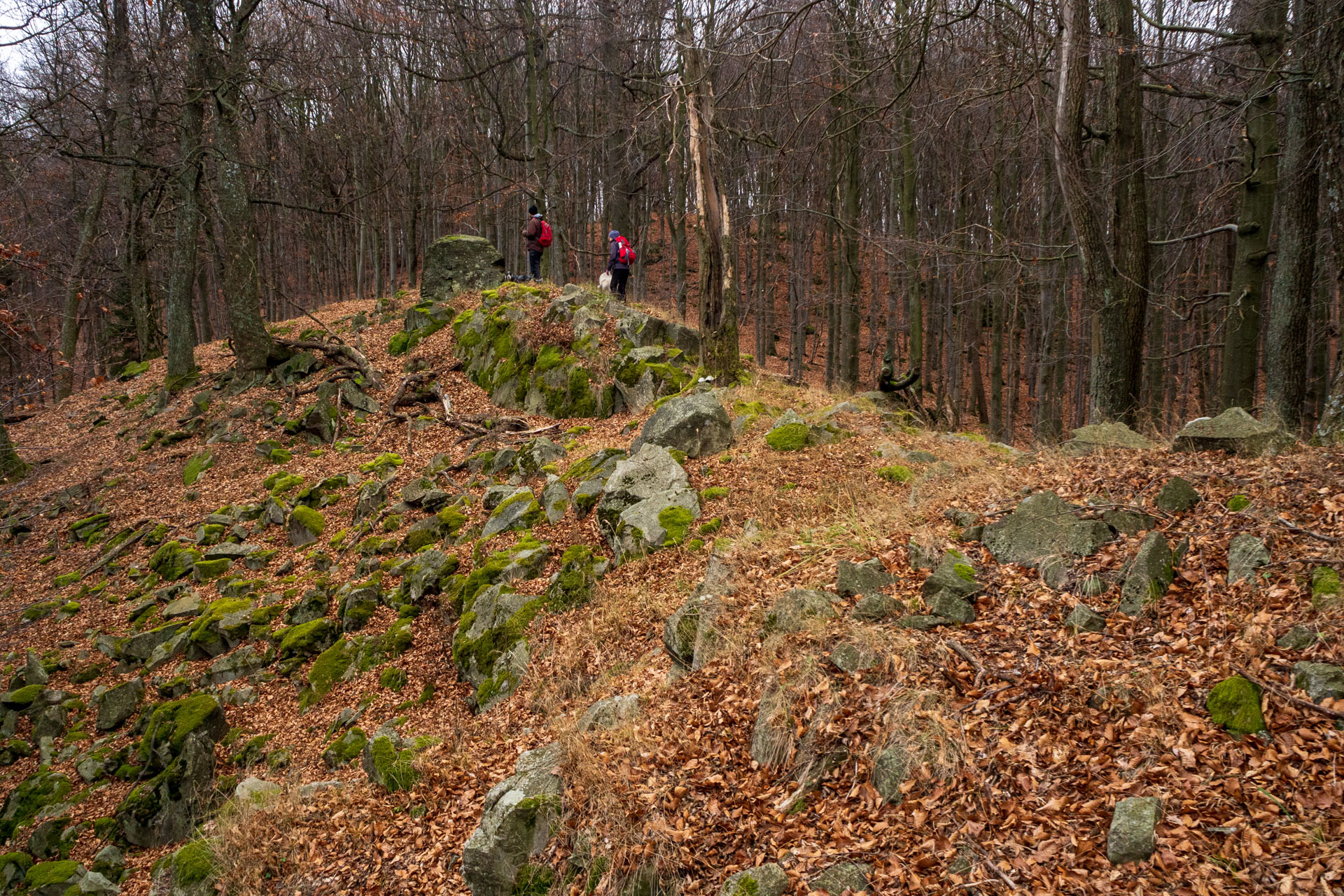 Vyhliadka pod Bradlom a Dobrák (Slanské vrchy)