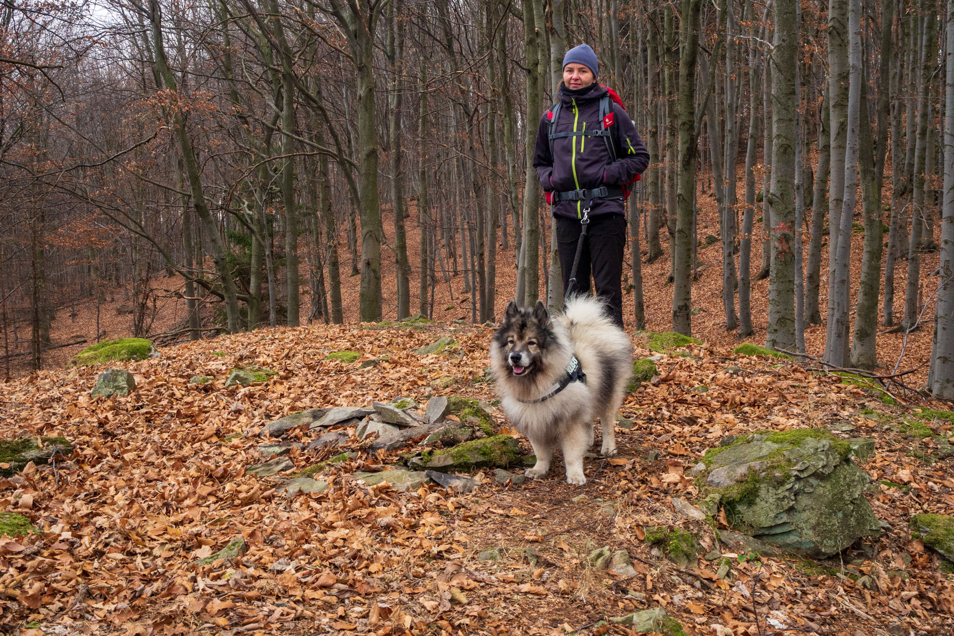 Vyhliadka pod Bradlom a Dobrák (Slanské vrchy)