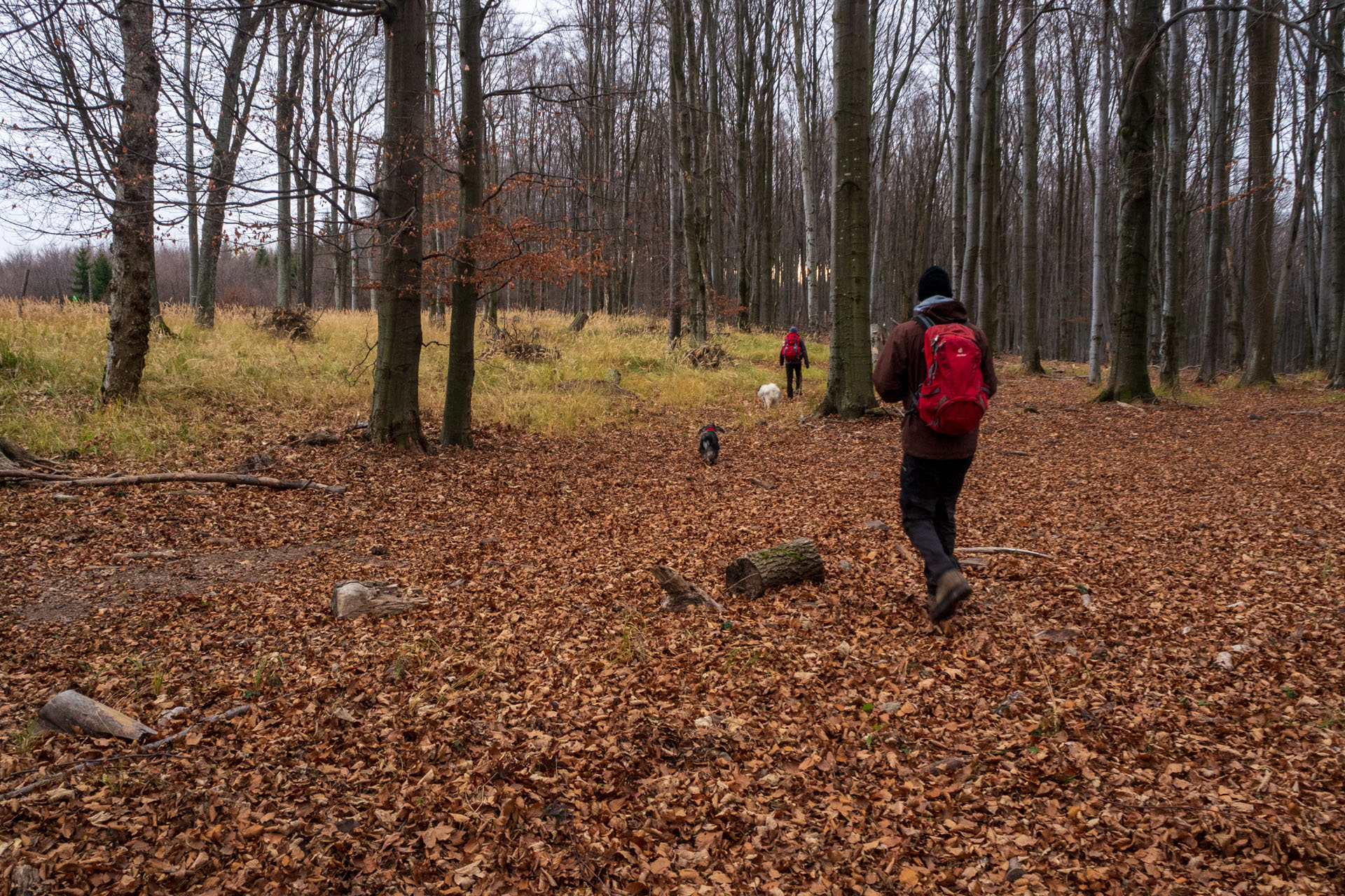 Vyhliadka pod Bradlom a Dobrák (Slanské vrchy)