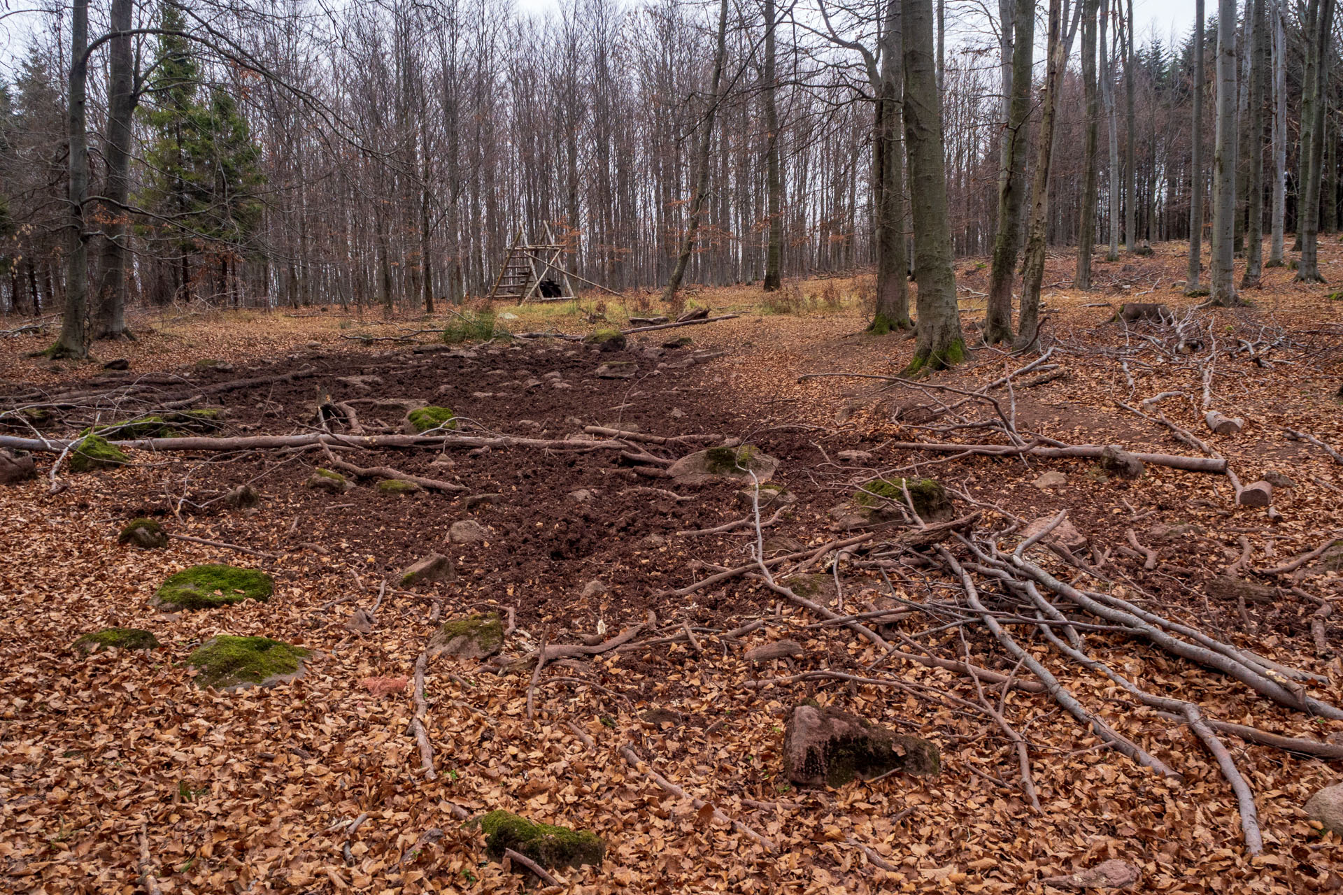 Vyhliadka pod Bradlom a Dobrák (Slanské vrchy)