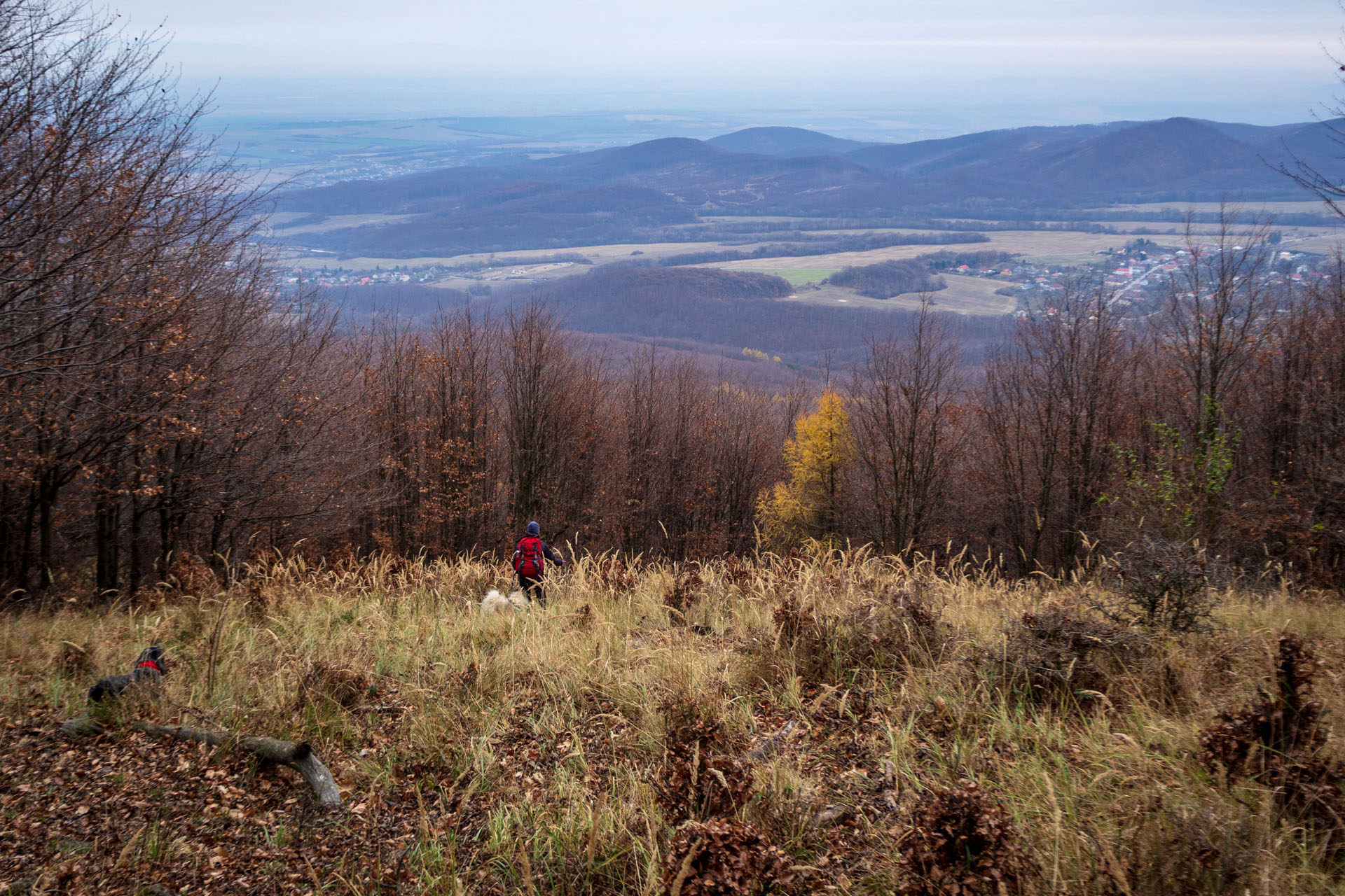 Vyhliadka pod Bradlom a Dobrák (Slanské vrchy)