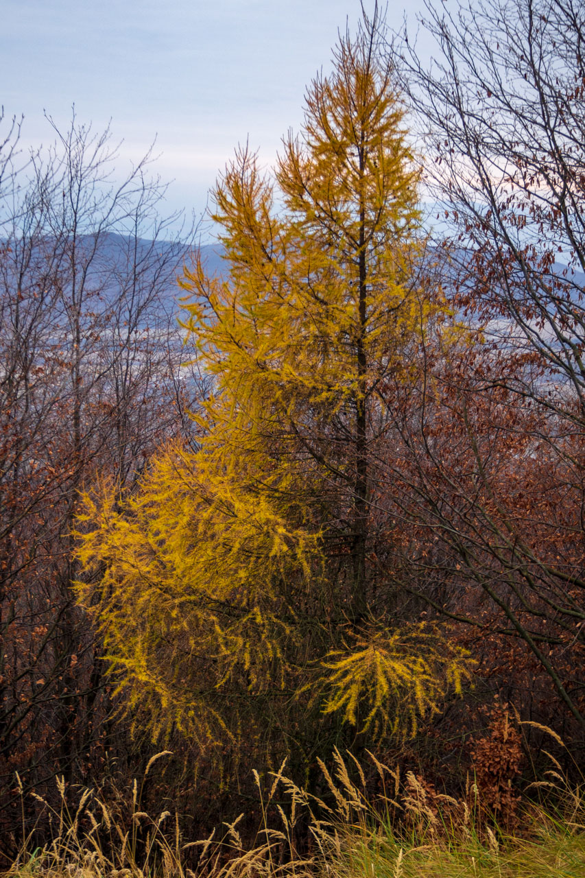 Vyhliadka pod Bradlom a Dobrák (Slanské vrchy)