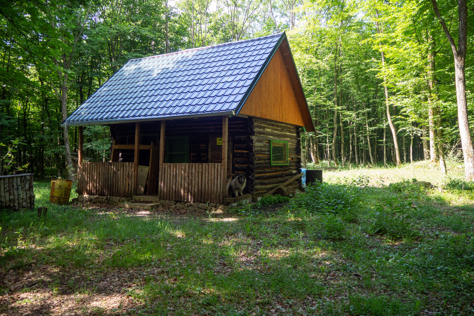 Vyhliadka za Okrúhlym lazom z Hája (Slovenský kras)