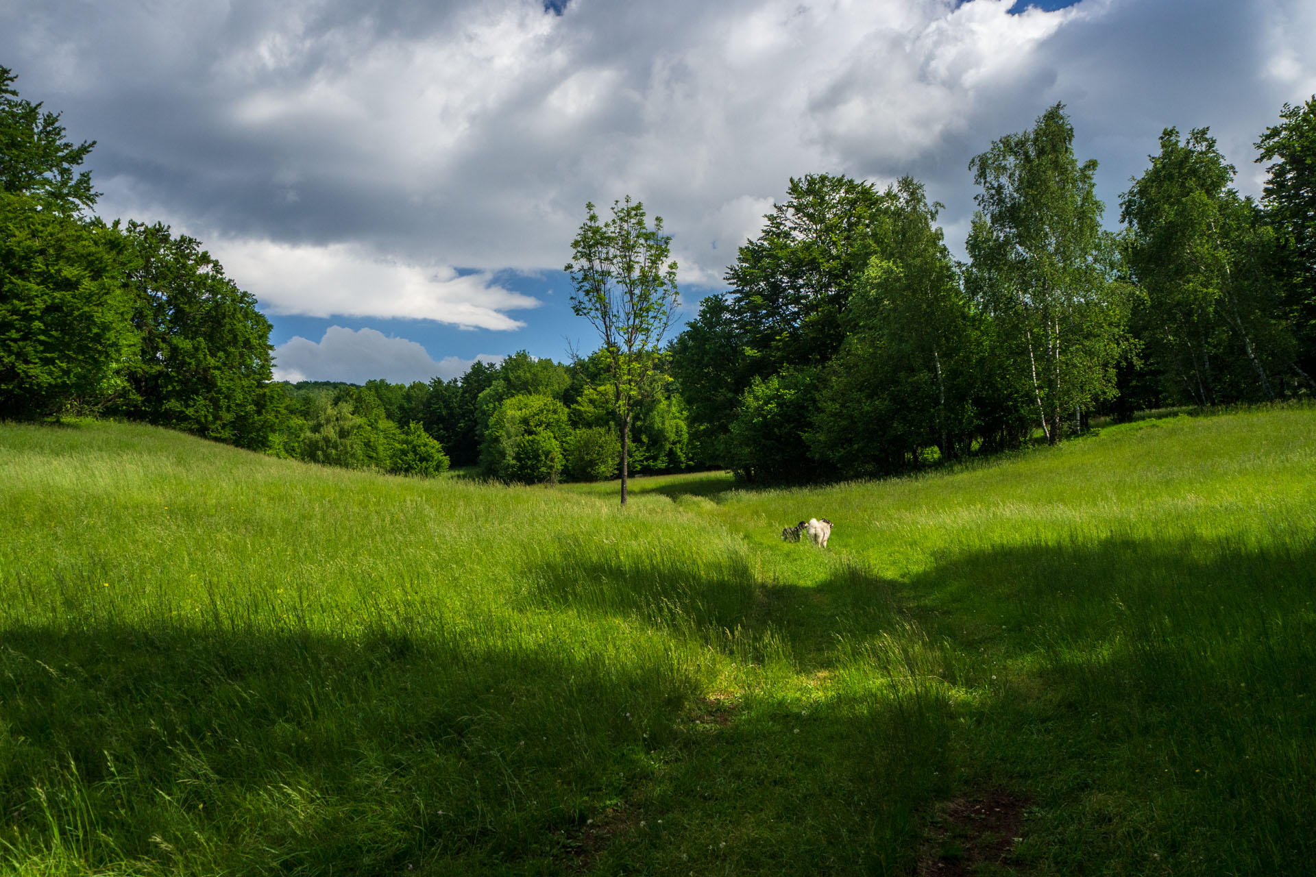 Vyhliadka za Okrúhlym lazom z Hája (Slovenský kras)