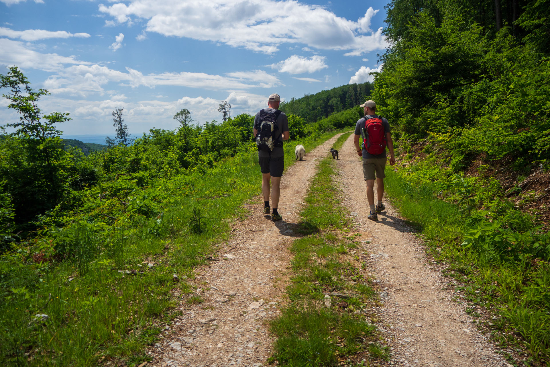 Vyhliadka za Okrúhlym lazom z Hája (Slovenský kras)