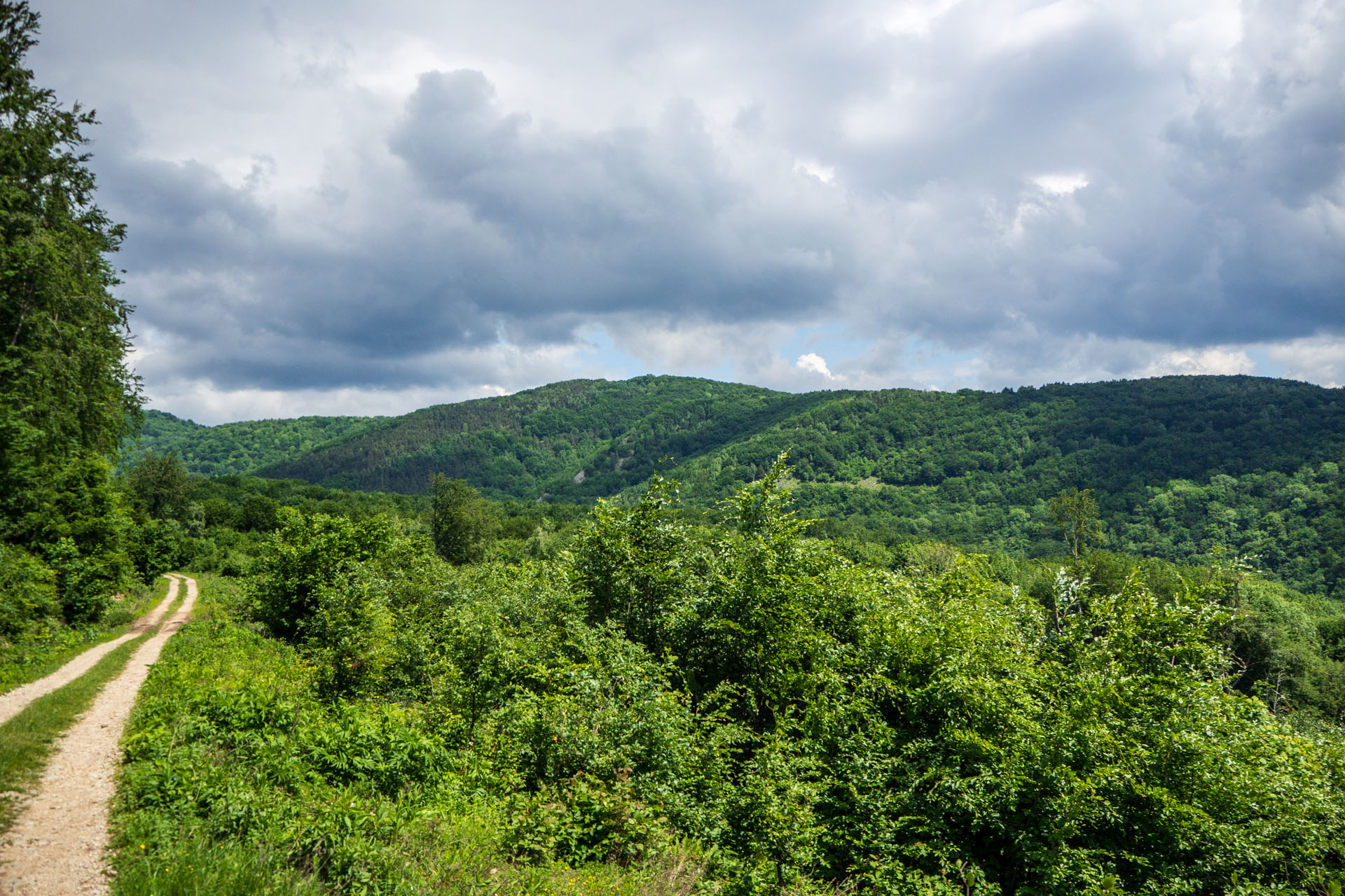 Vyhliadka za Okrúhlym lazom z Hája (Slovenský kras)