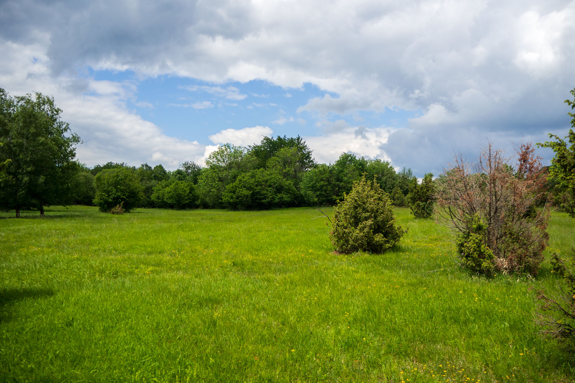 Vyhliadka za Okrúhlym lazom z Hája (Slovenský kras)