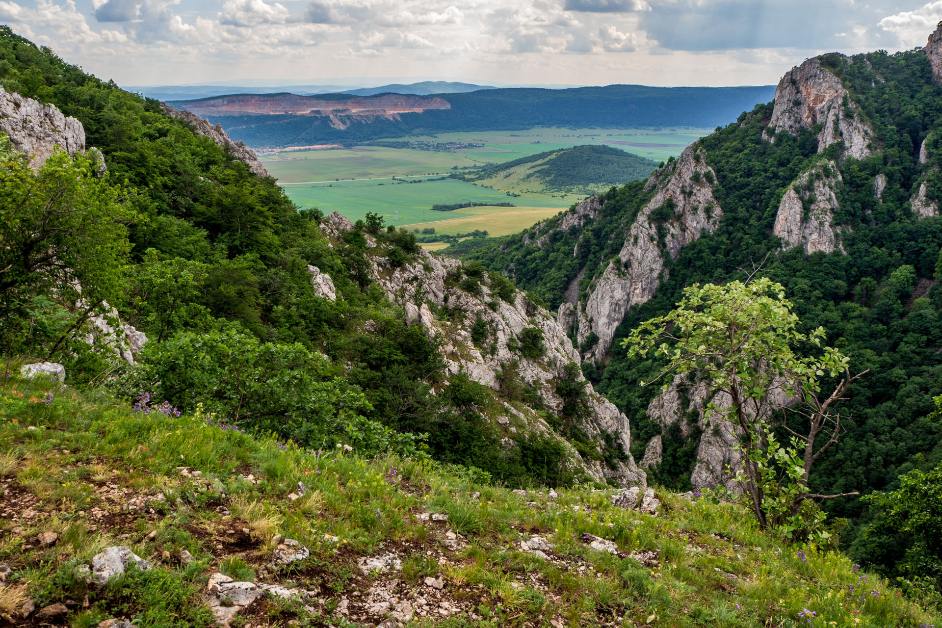 Vyhliadka za Okrúhlym lazom z Hája (Slovenský kras)