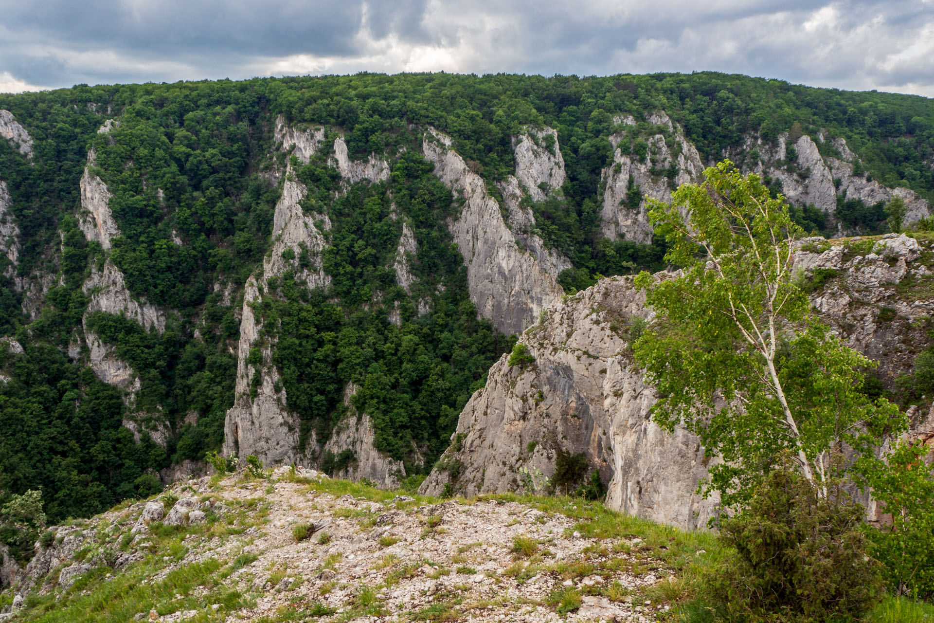 Vyhliadka za Okrúhlym lazom z Hája (Slovenský kras)