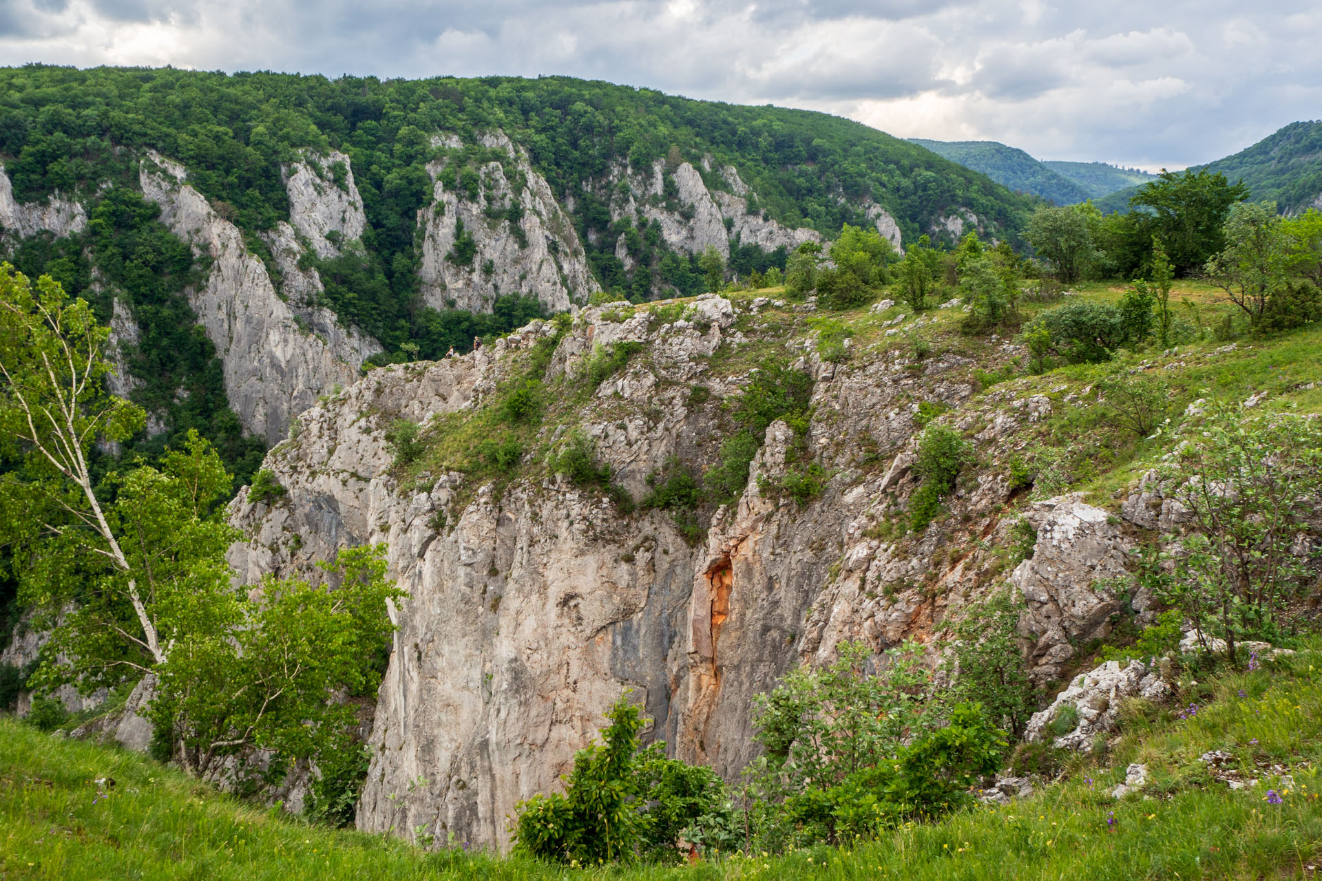 Vyhliadka za Okrúhlym lazom z Hája (Slovenský kras)